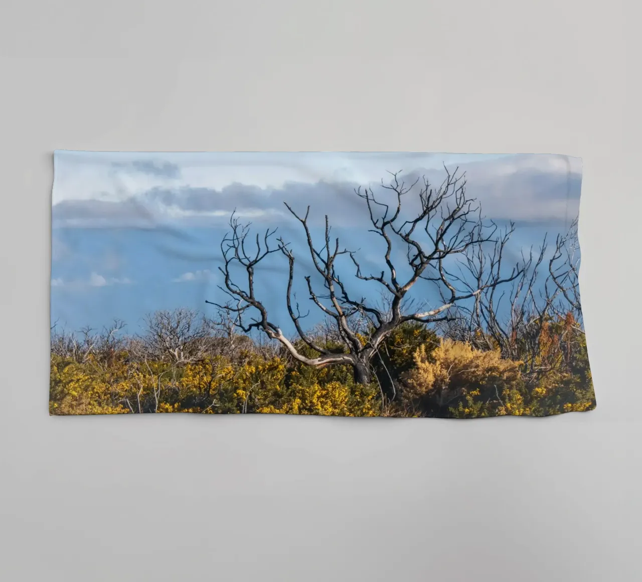 Albero spoglio su una collina asciugamano da bagno da Léa Lefebvre Photography