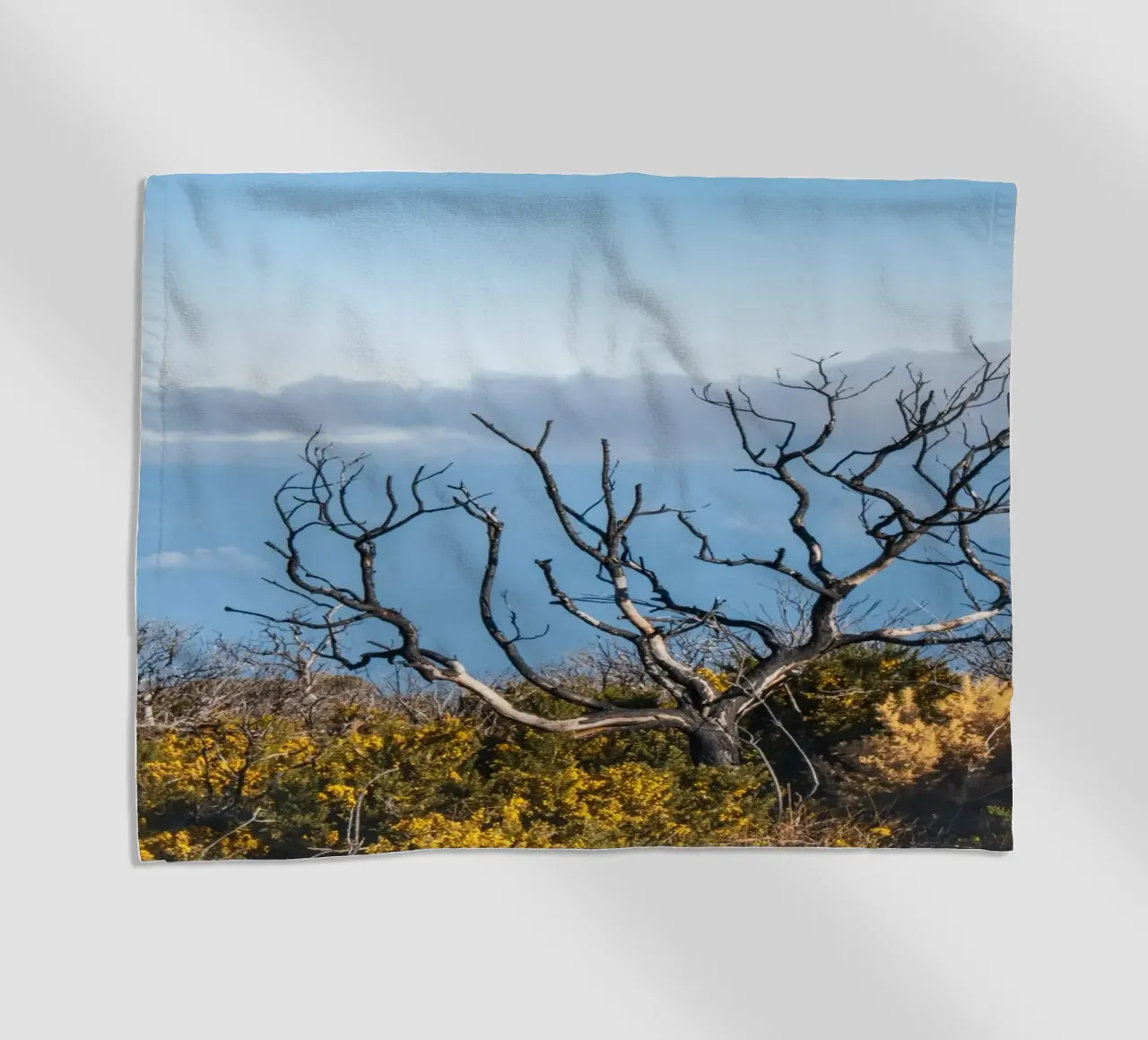 Albero spoglio su una collina telo mare da Léa Lefebvre Photography