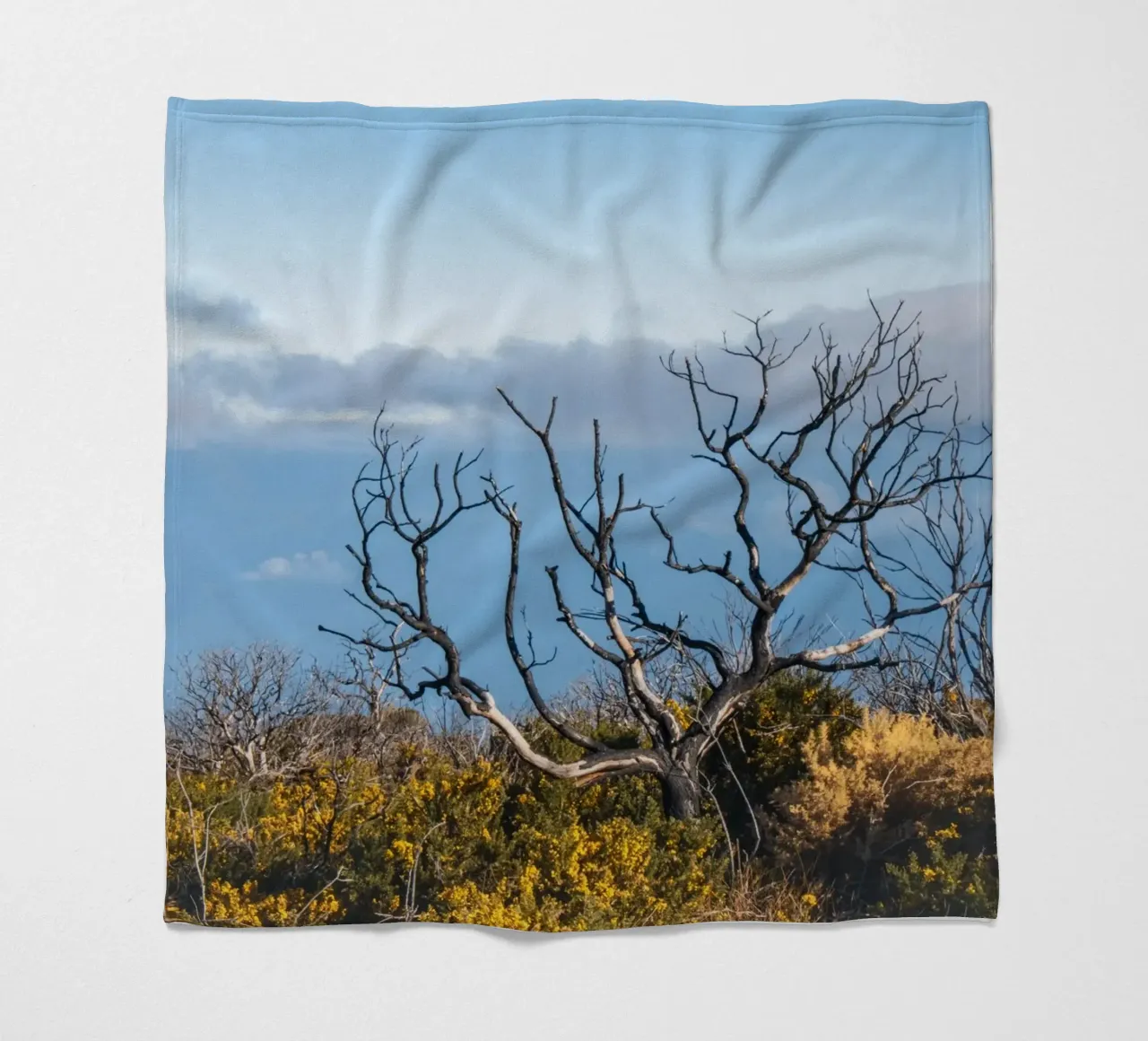 Albero spoglio su una collina coperta in pile da Léa Lefebvre Photography
