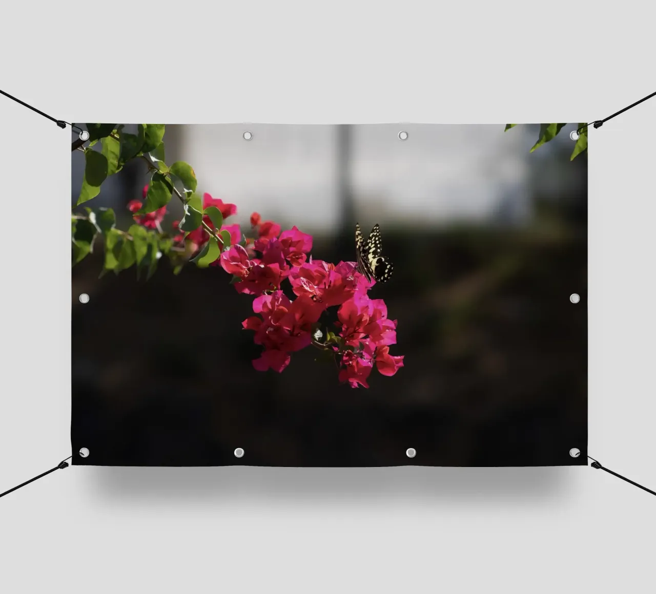 Farfalla su fiori rosa telo in pvc da Léa Lefebvre Photography