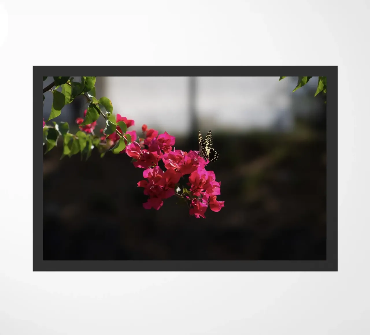 Farfalla su fiori rosa zerbino da Léa Lefebvre Photography