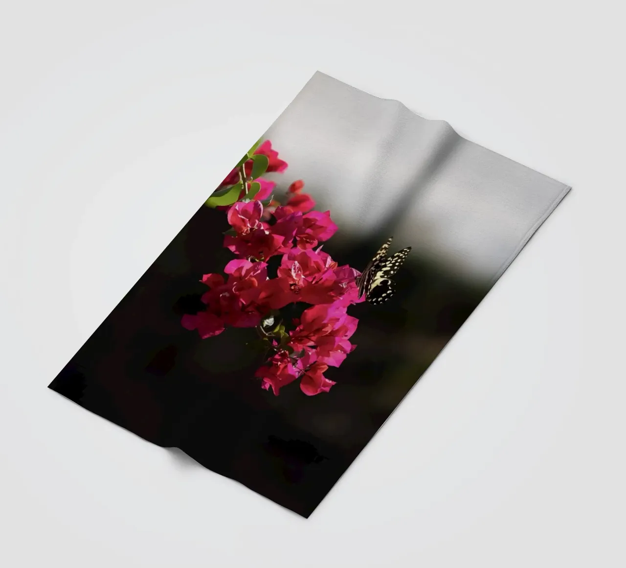 Farfalla su fiori rosa coperta in pile da Léa Lefebvre Photography