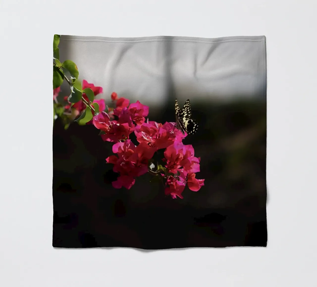Farfalla su fiori rosa coperta in pile da Léa Lefebvre Photography