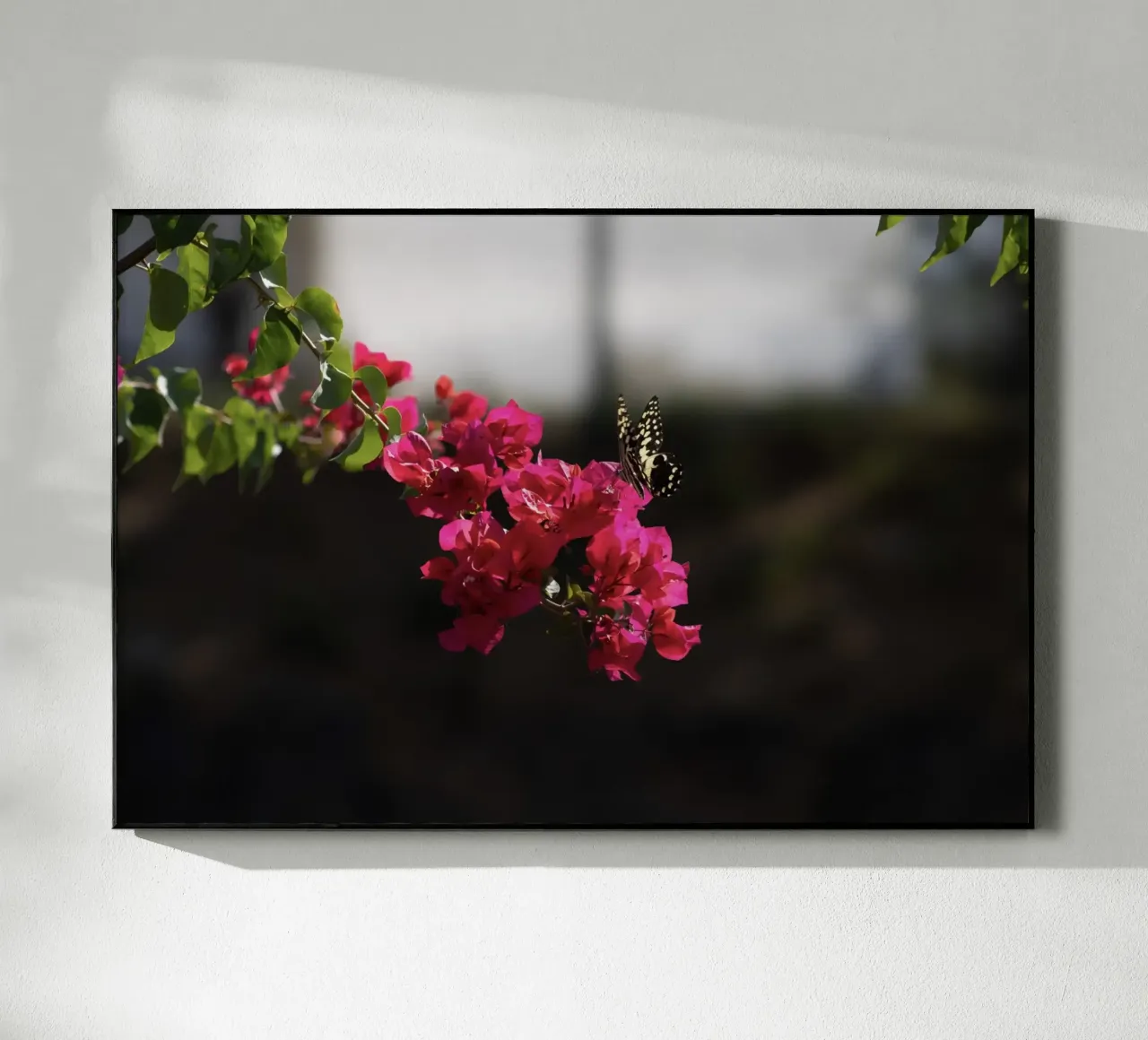 Farfalla su fiori rosa plexiglass da Léa Lefebvre Photography