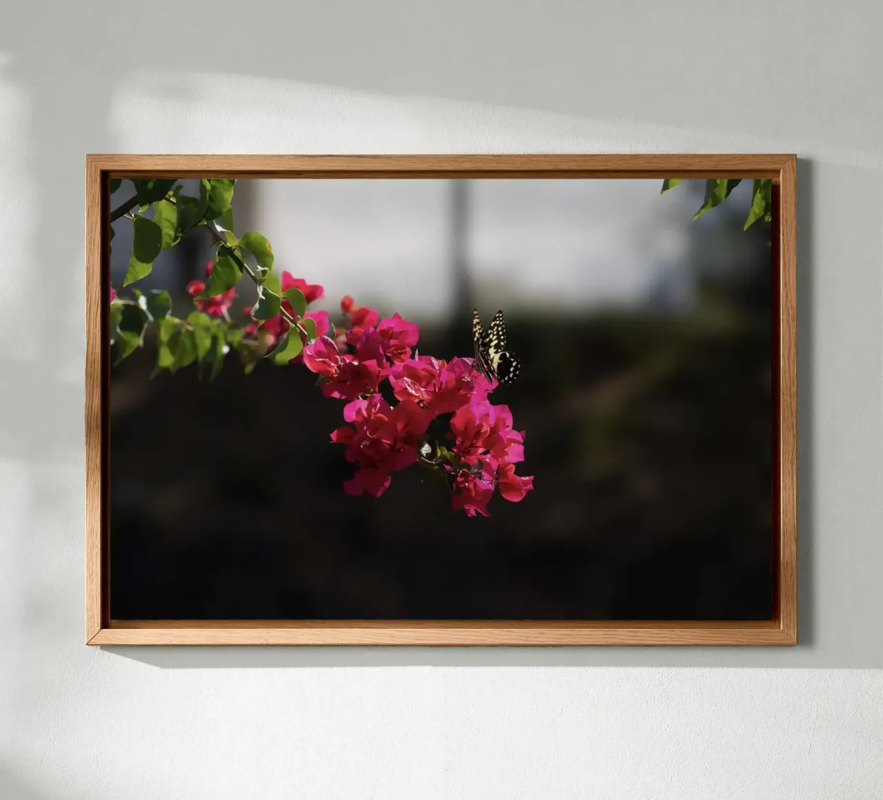 Farfalla su fiori rosa tela con Cornice a cassetta da Léa Lefebvre Photography