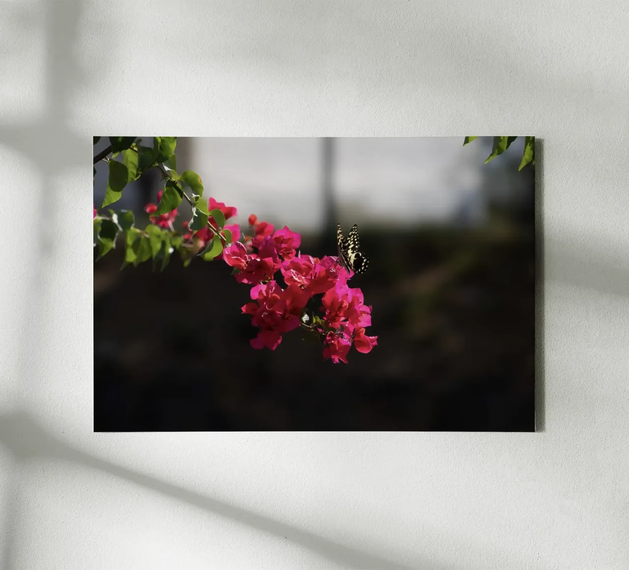 Farfalla su fiori rosa tela con Cornice a cassetta da Léa Lefebvre Photography