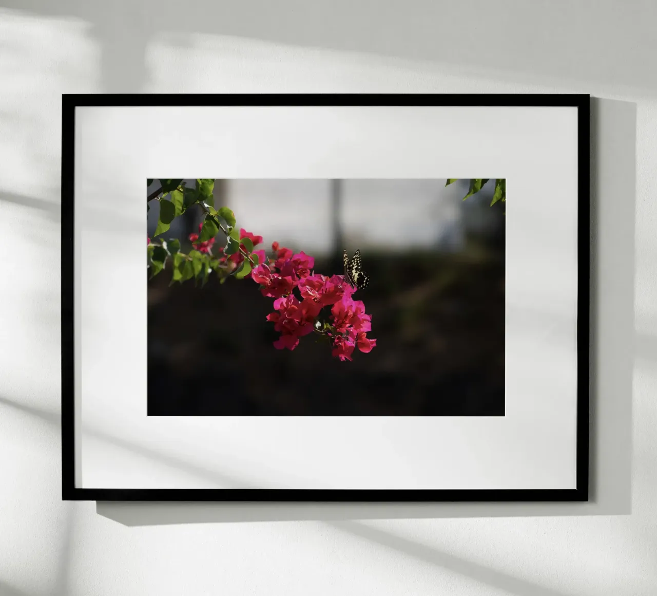 Farfalla su fiori rosa poster con telaio in legno da Léa Lefebvre Photography