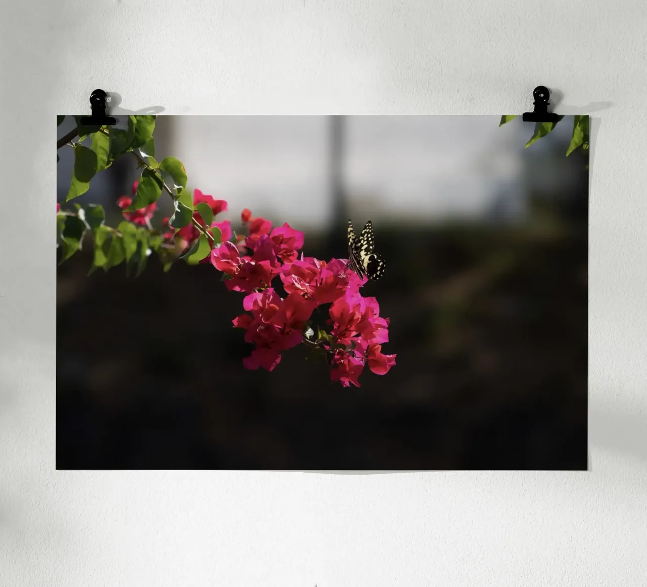 Farfalla su fiori rosa poster con telaio in legno da Léa Lefebvre Photography