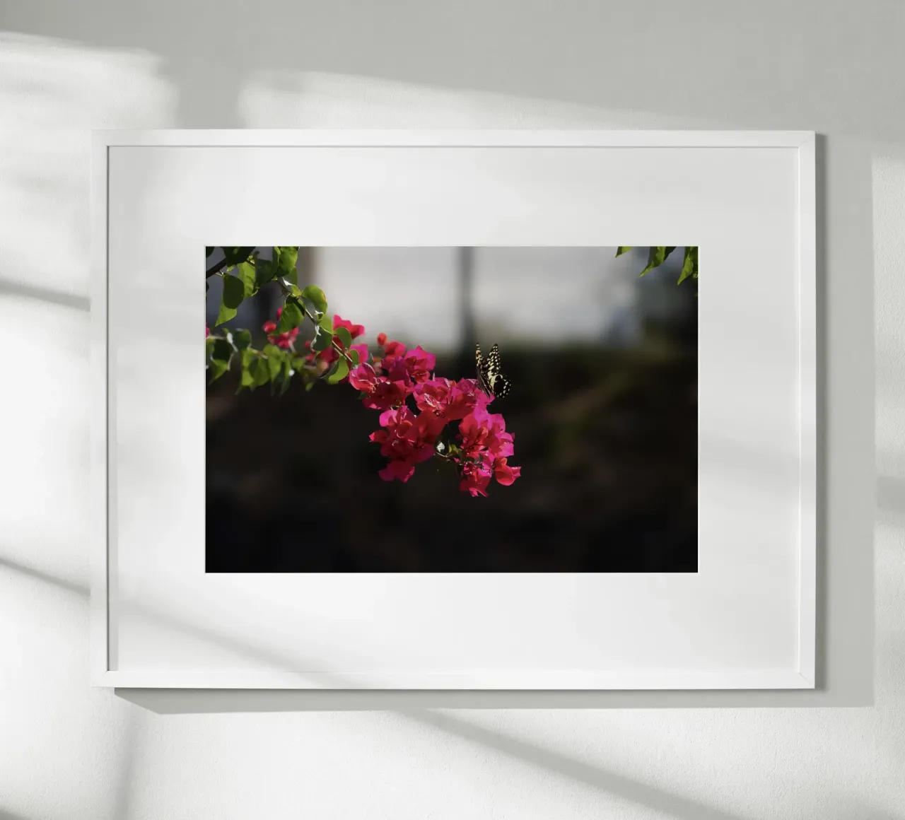 Farfalla su fiori rosa poster con telaio in legno da Léa Lefebvre Photography
