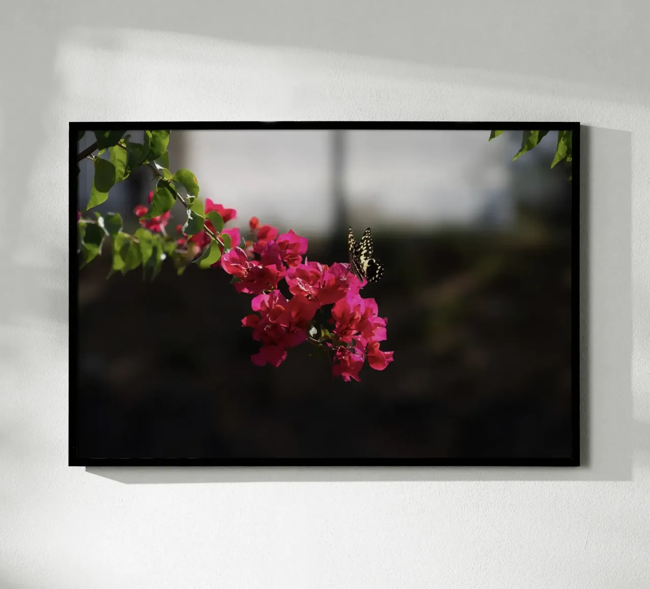 Farfalla su fiori rosa poster con telaio in legno da Léa Lefebvre Photography