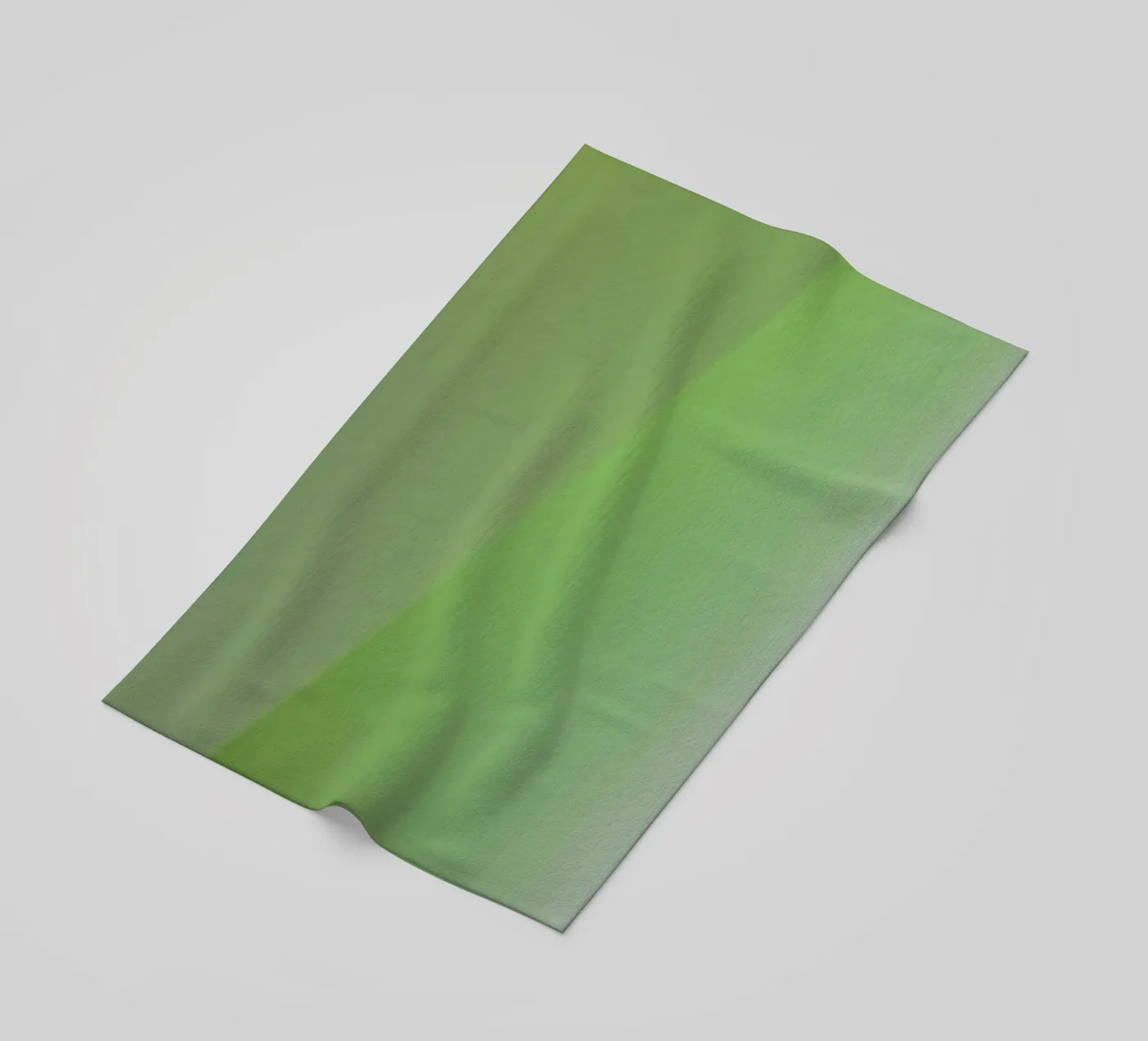 Thalassa telo mare da Elena Veronese