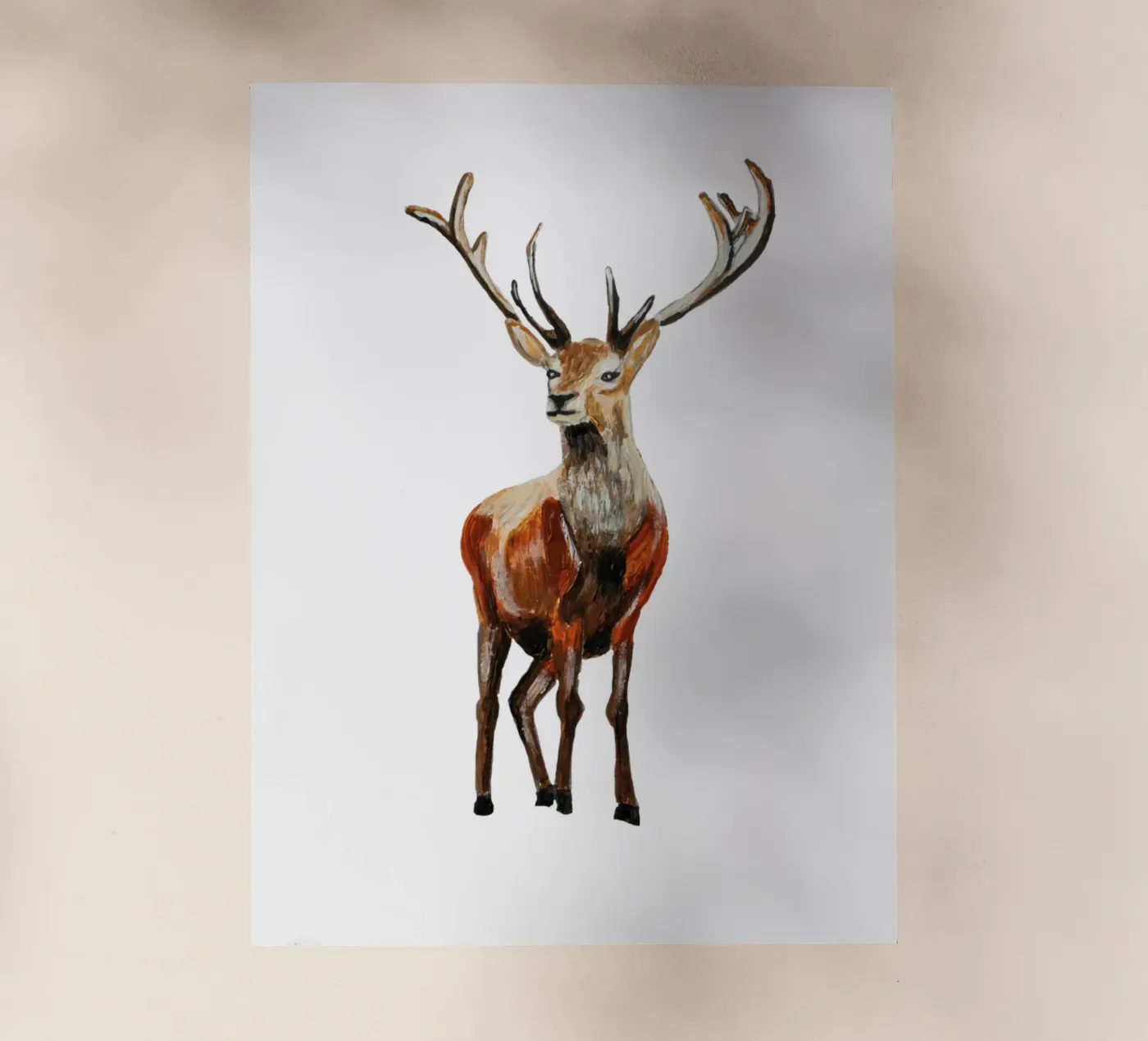 Deer backlit film by Femke Zwaan