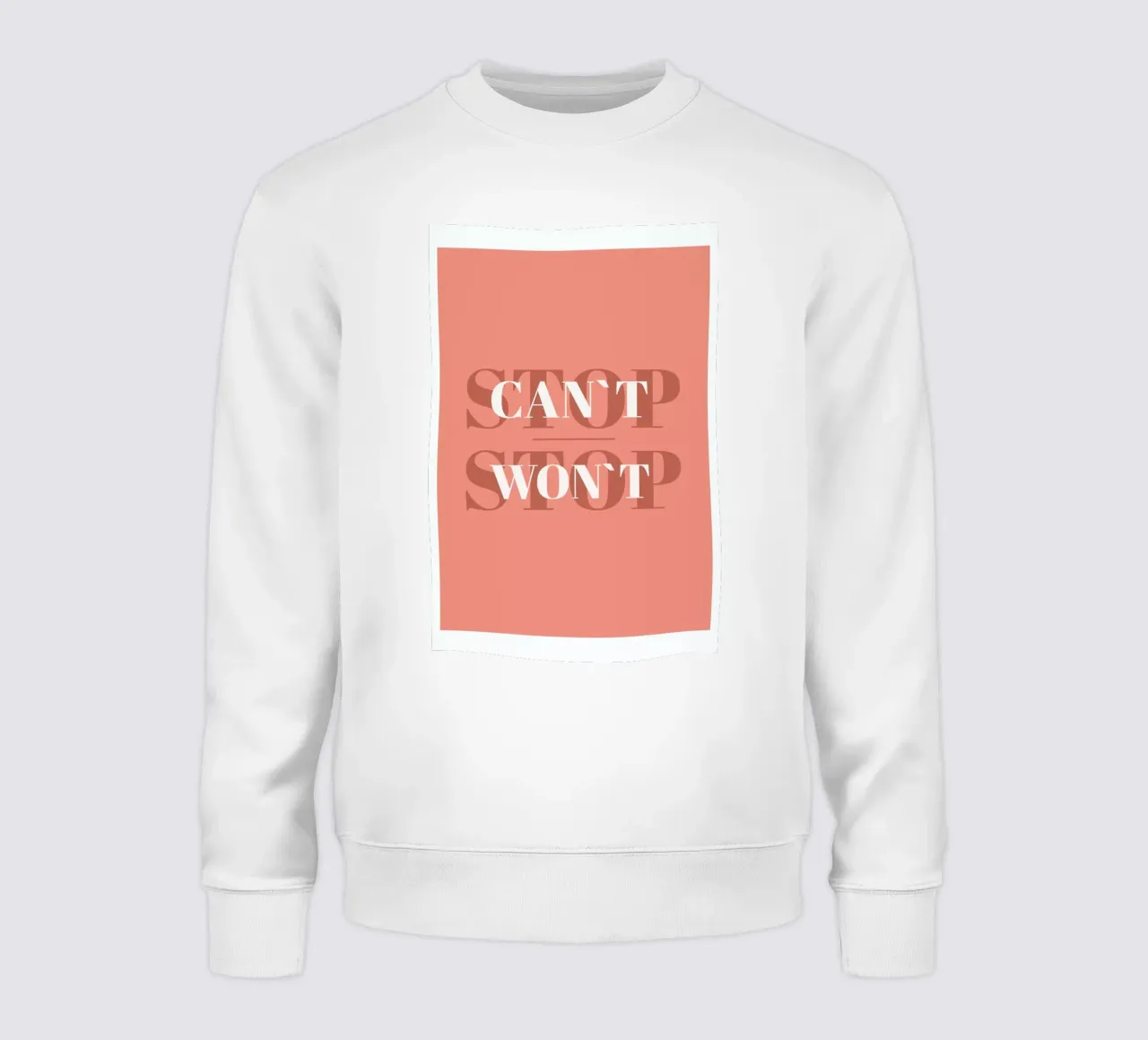 Can't Stop Won't Stop felpa da Ayleen