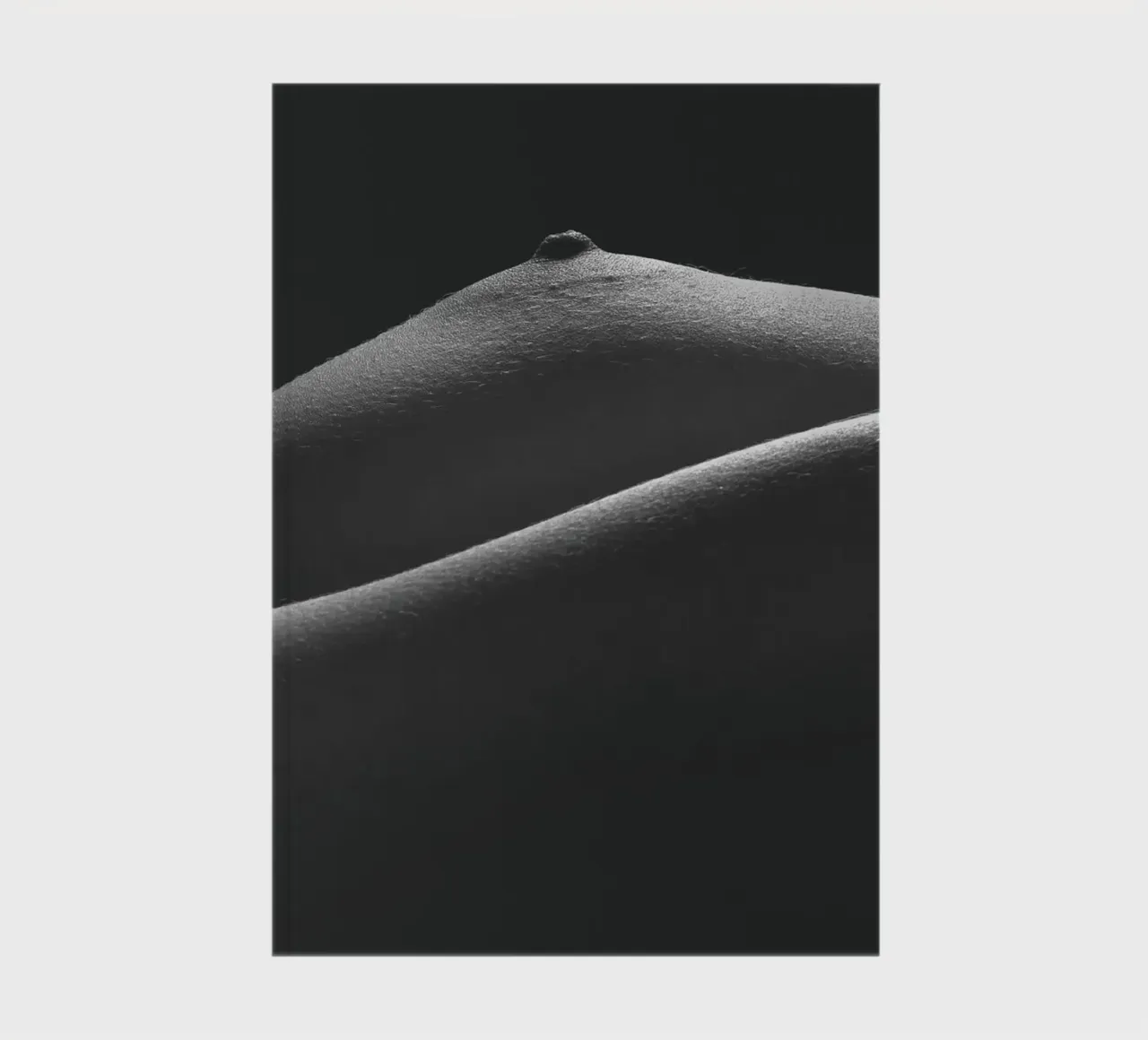 Breast Detail notebook by Dave Hare Photography