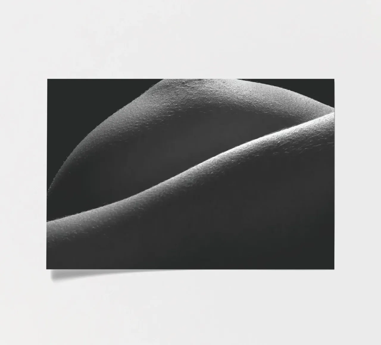 Breast Detail sticker sheet by Dave Hare Photography