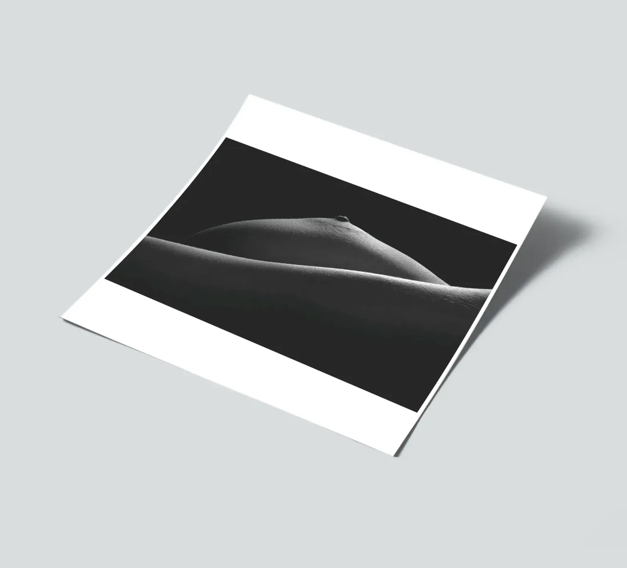 Breast Detail sticker sheet by Dave Hare Photography
