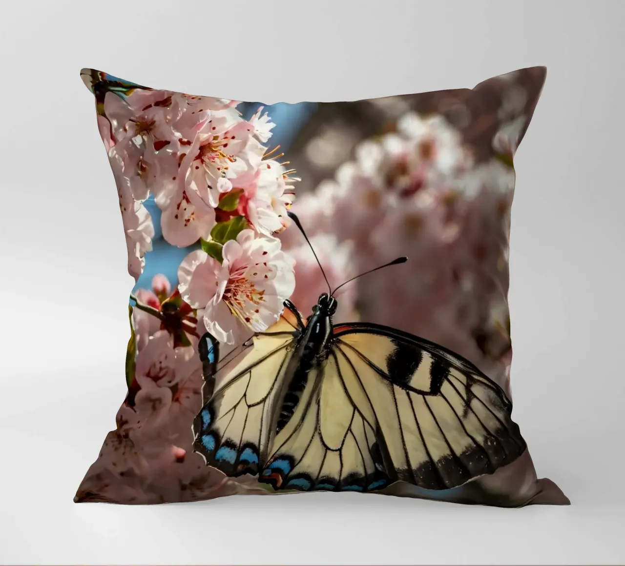 Una bellissima farfalla che si posa sui fiori di ciliegio in fiore cuscino da DesignDoodle