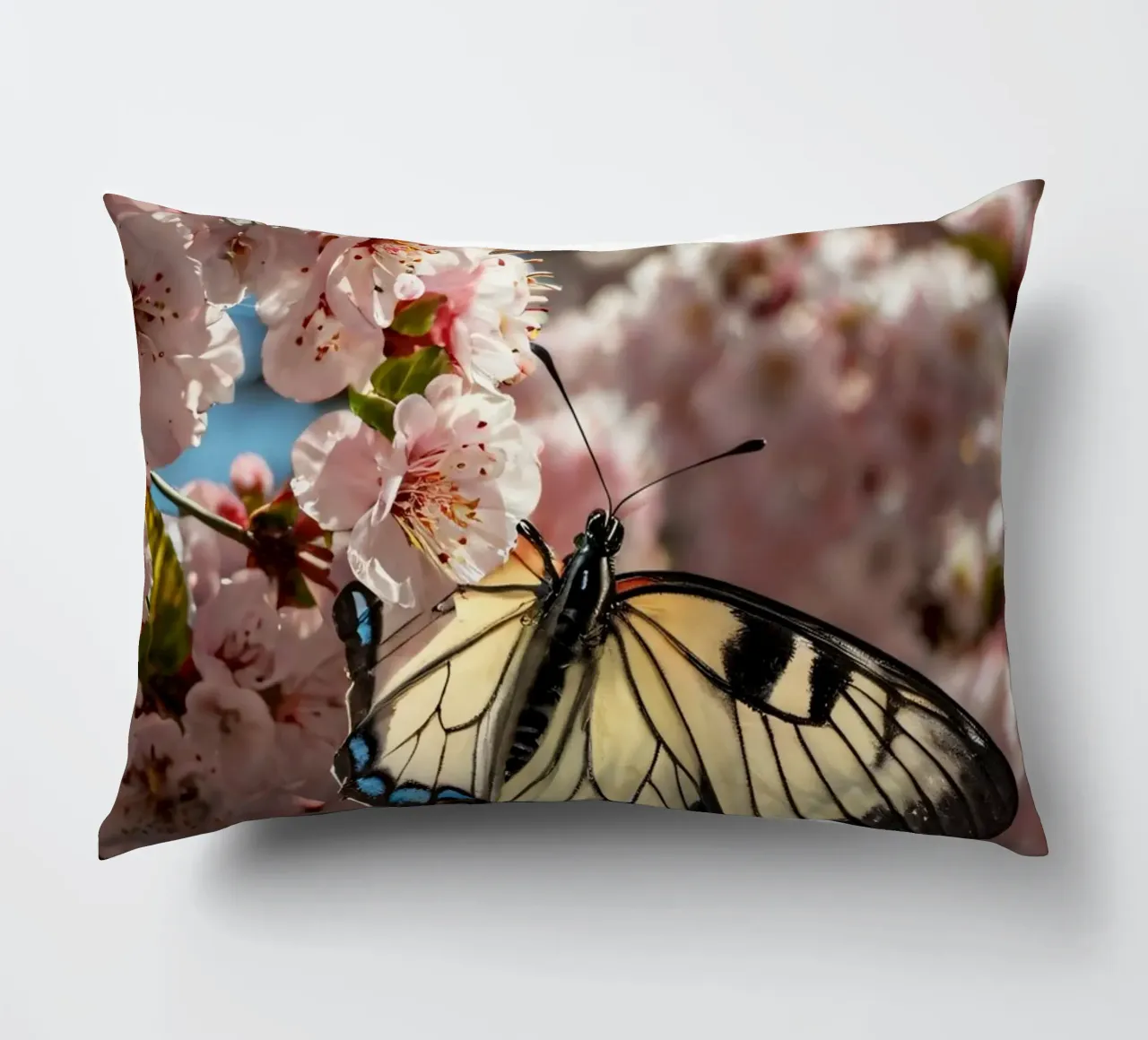 Una bellissima farfalla che si posa sui fiori di ciliegio in fiore cuscino da DesignDoodle