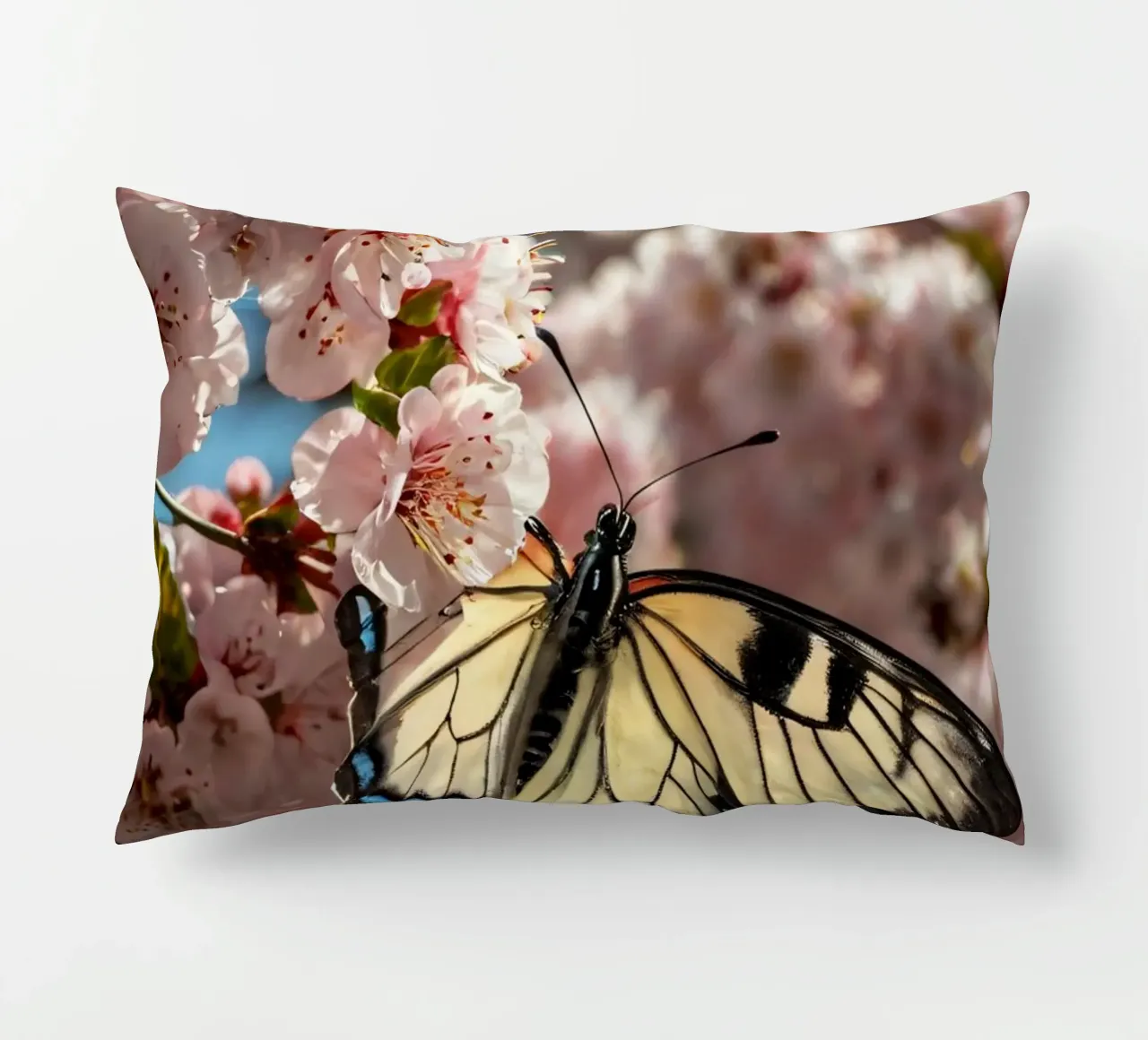 Una bellissima farfalla che si posa sui fiori di ciliegio in fiore cuscino da DesignDoodle