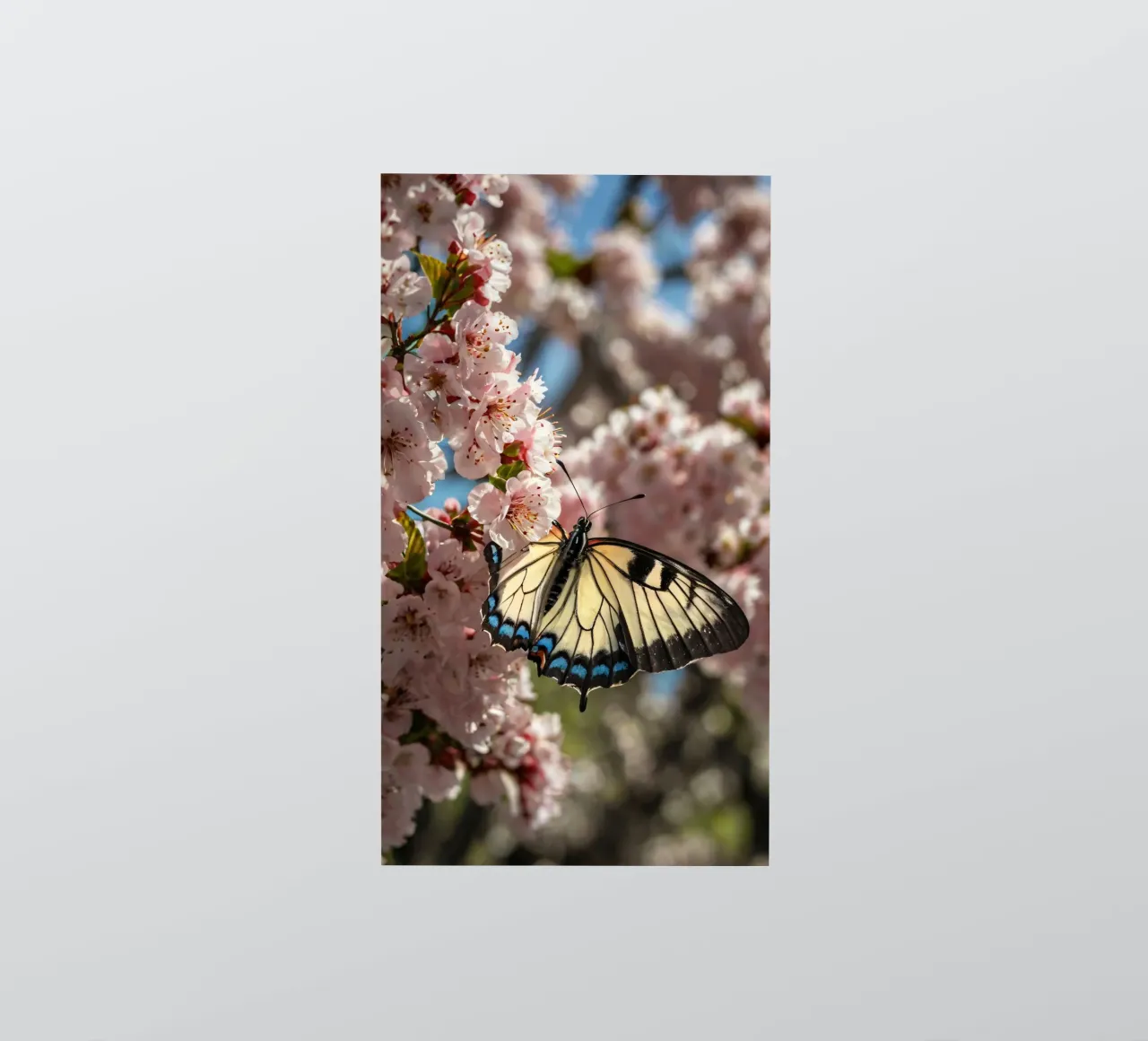 A beautiful butterfly resting on blooming cherry blossoms sticker by DesignDoodle