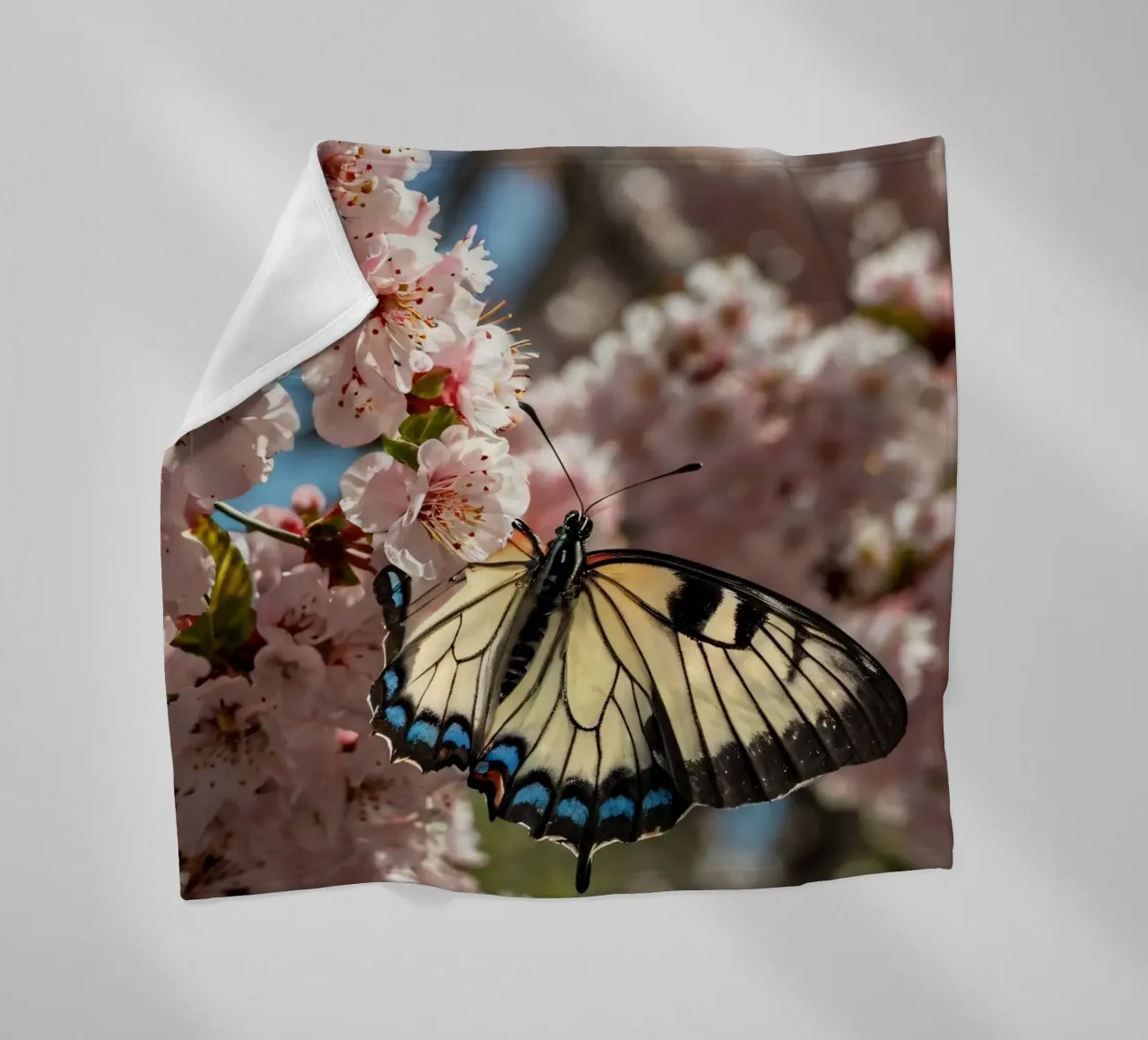 Una bellissima farfalla che si posa sui fiori di ciliegio in fiore coperta in pile da DesignDoodle