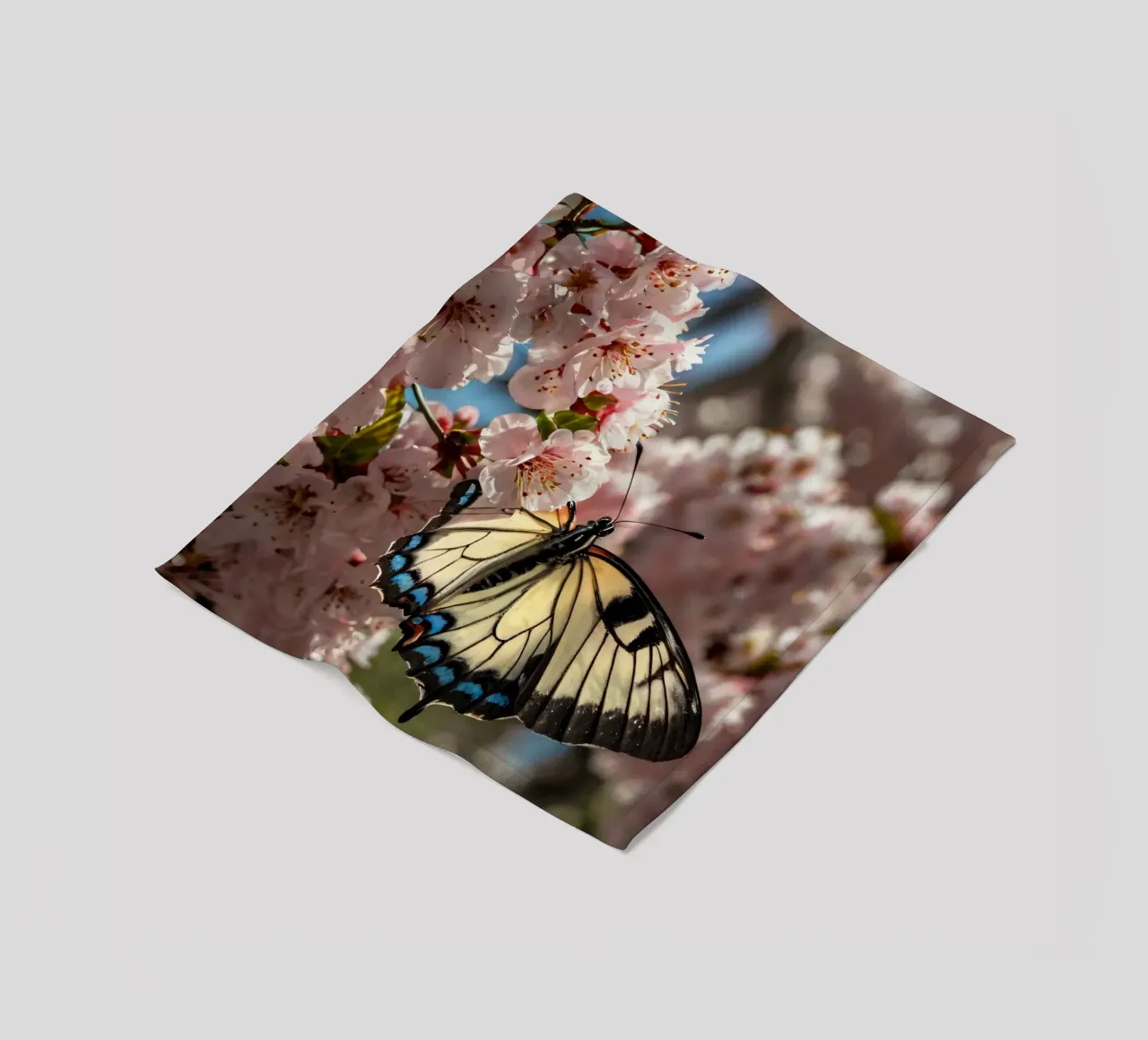 Una bellissima farfalla che si posa sui fiori di ciliegio in fiore coperta in pile da DesignDoodle