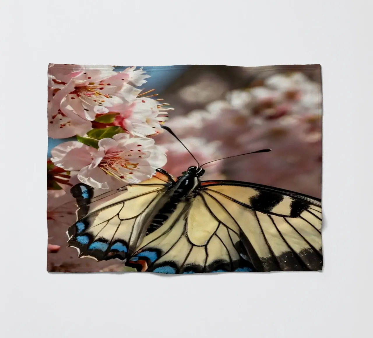 Una bellissima farfalla che si posa sui fiori di ciliegio in fiore coperta in pile da DesignDoodle