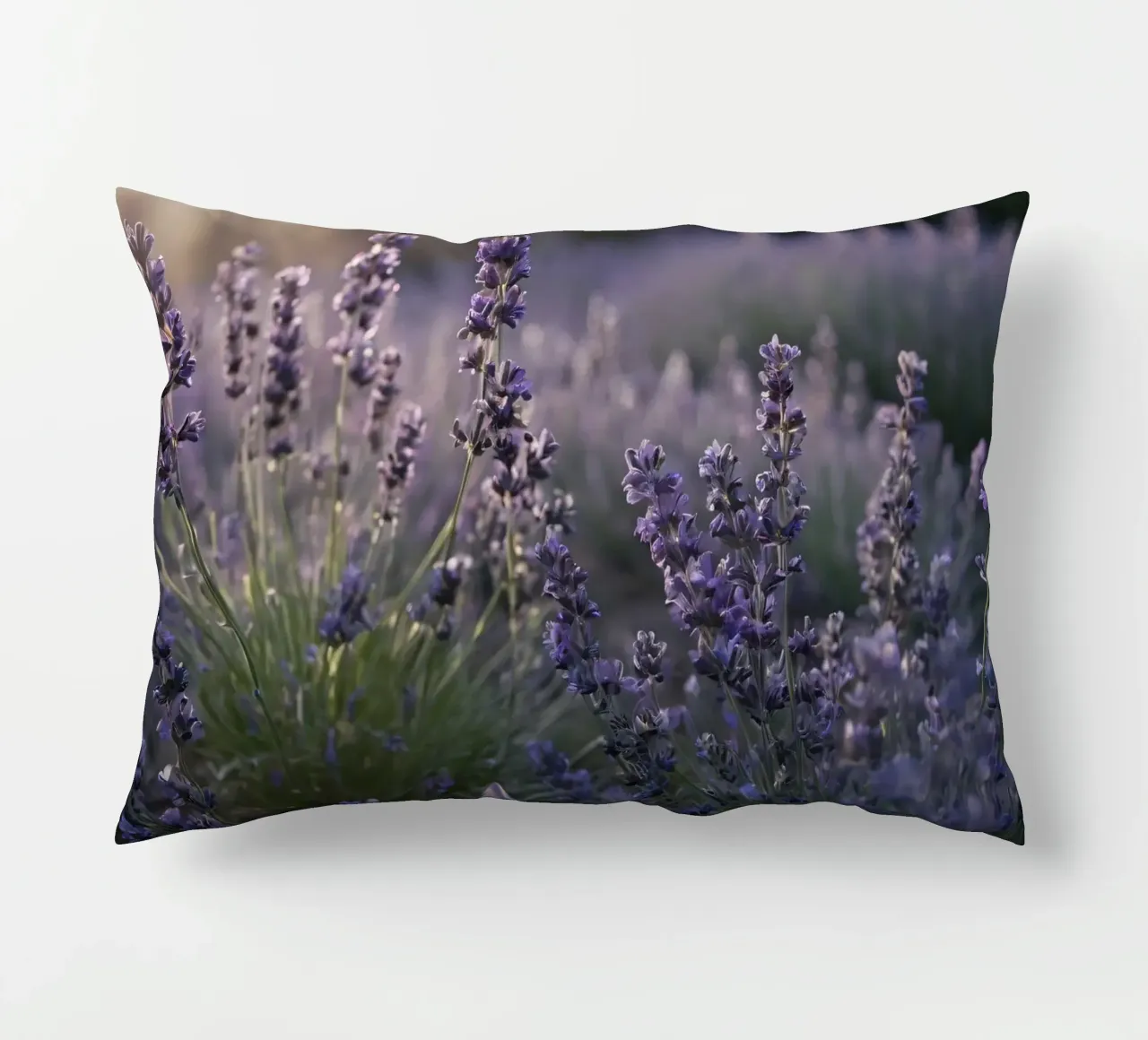 Lavender fields in full bloom during golden hour decorative cushion by DesignDoodle