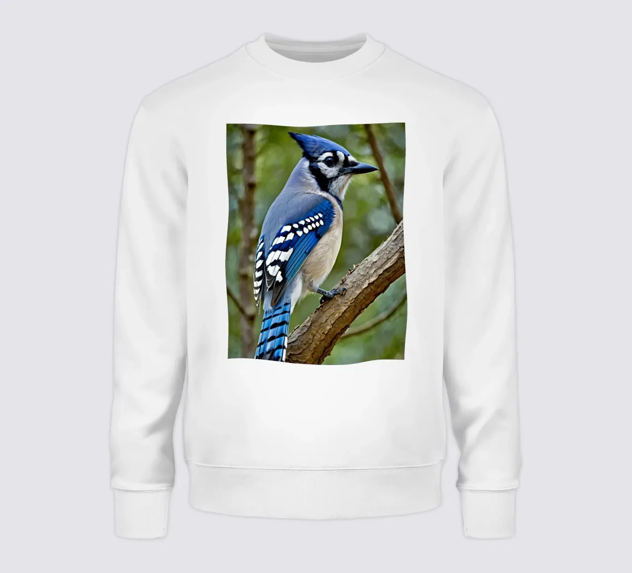 Una ghiandaia azzurra appollaiata sul ramo di un albero in una foresta verdeggiante felpa da DesignDoodle