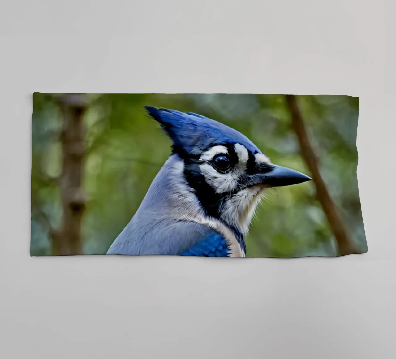 Una ghiandaia azzurra appollaiata sul ramo di un albero in una foresta verdeggiante asciugamano da bagno da DesignDoodle