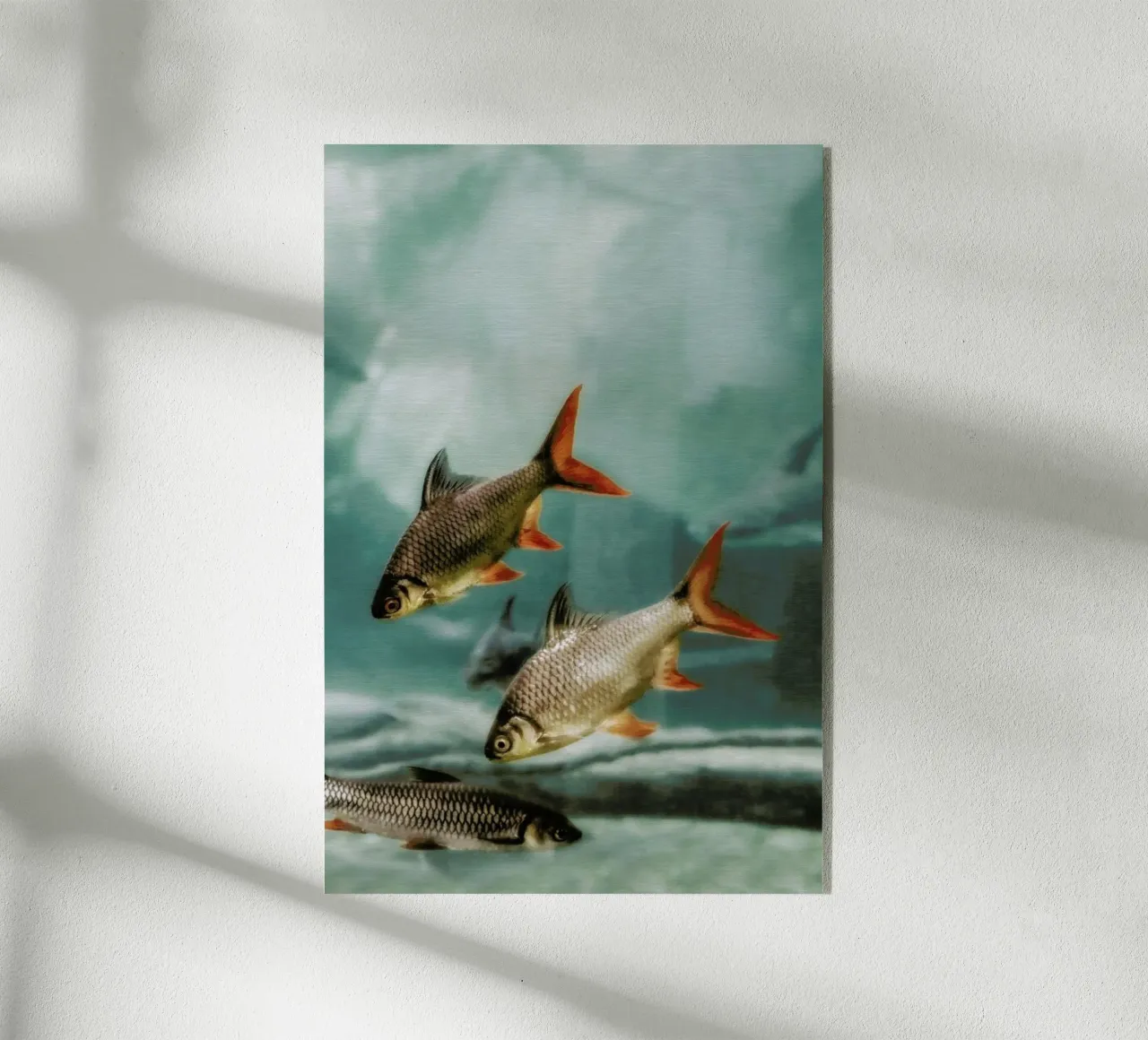 The Swarm 2 plexiglass da Monika Strigel