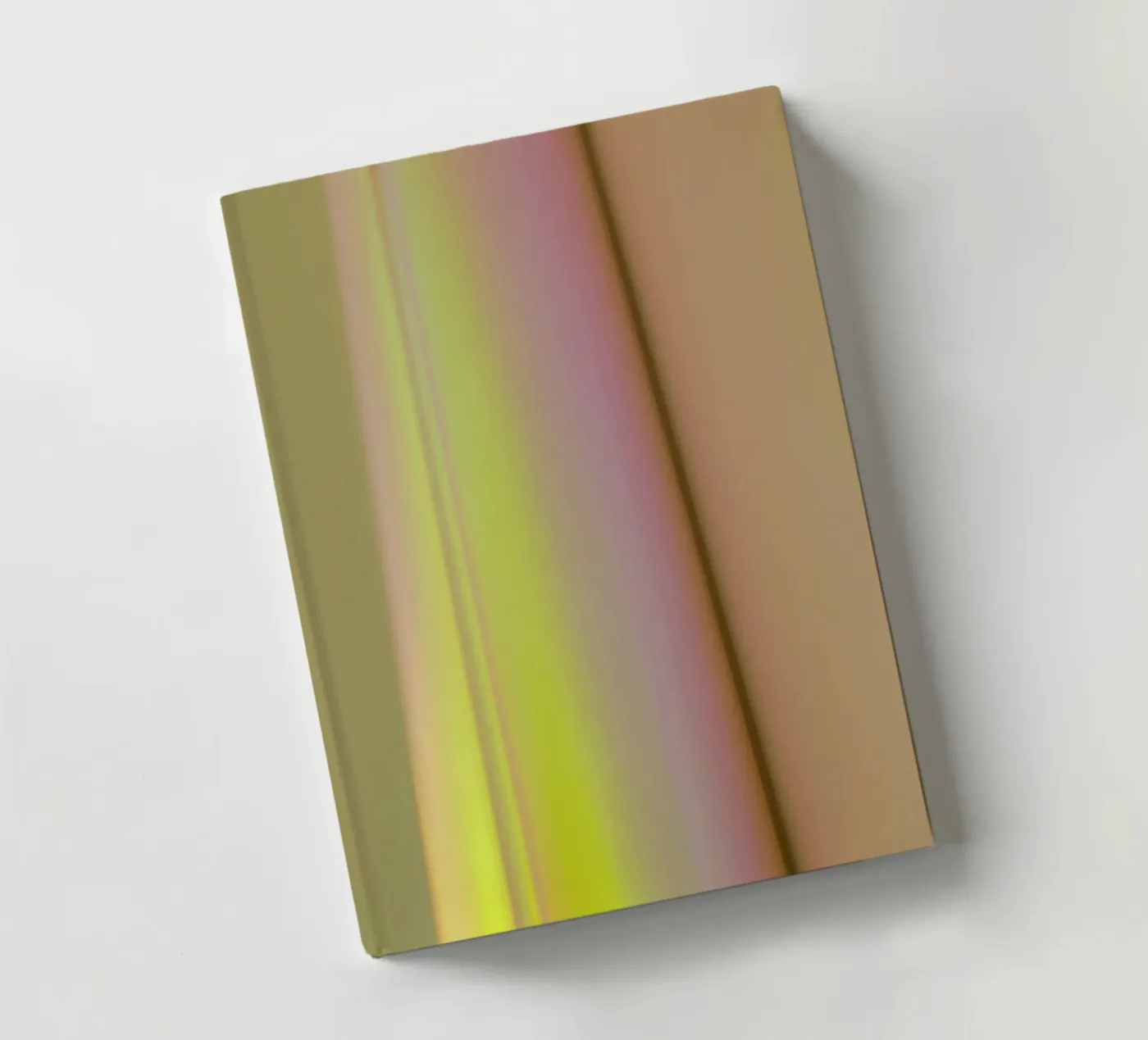 Jupiter notebook by Elena Veronese