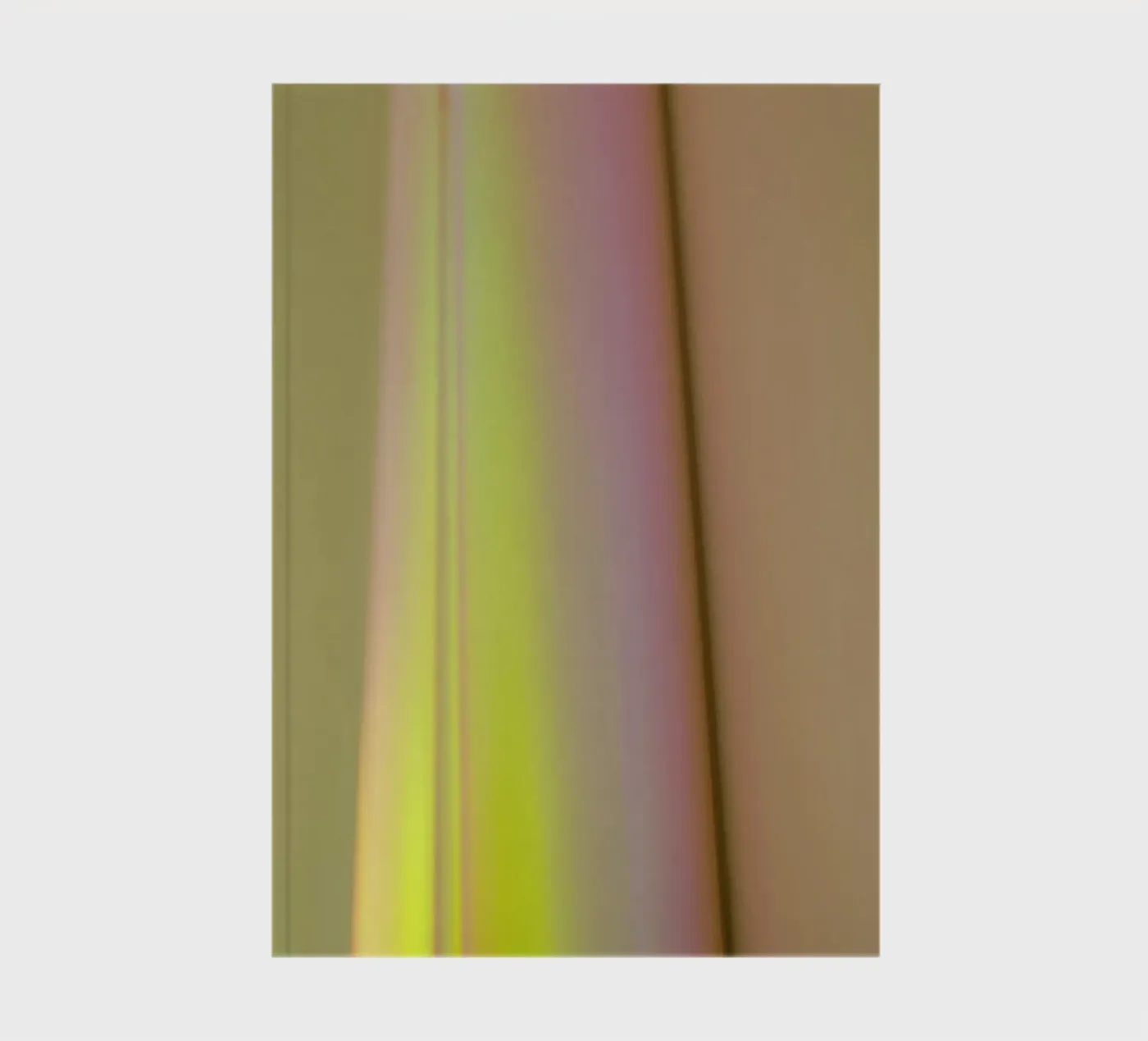 Jupiter notebook by Elena Veronese