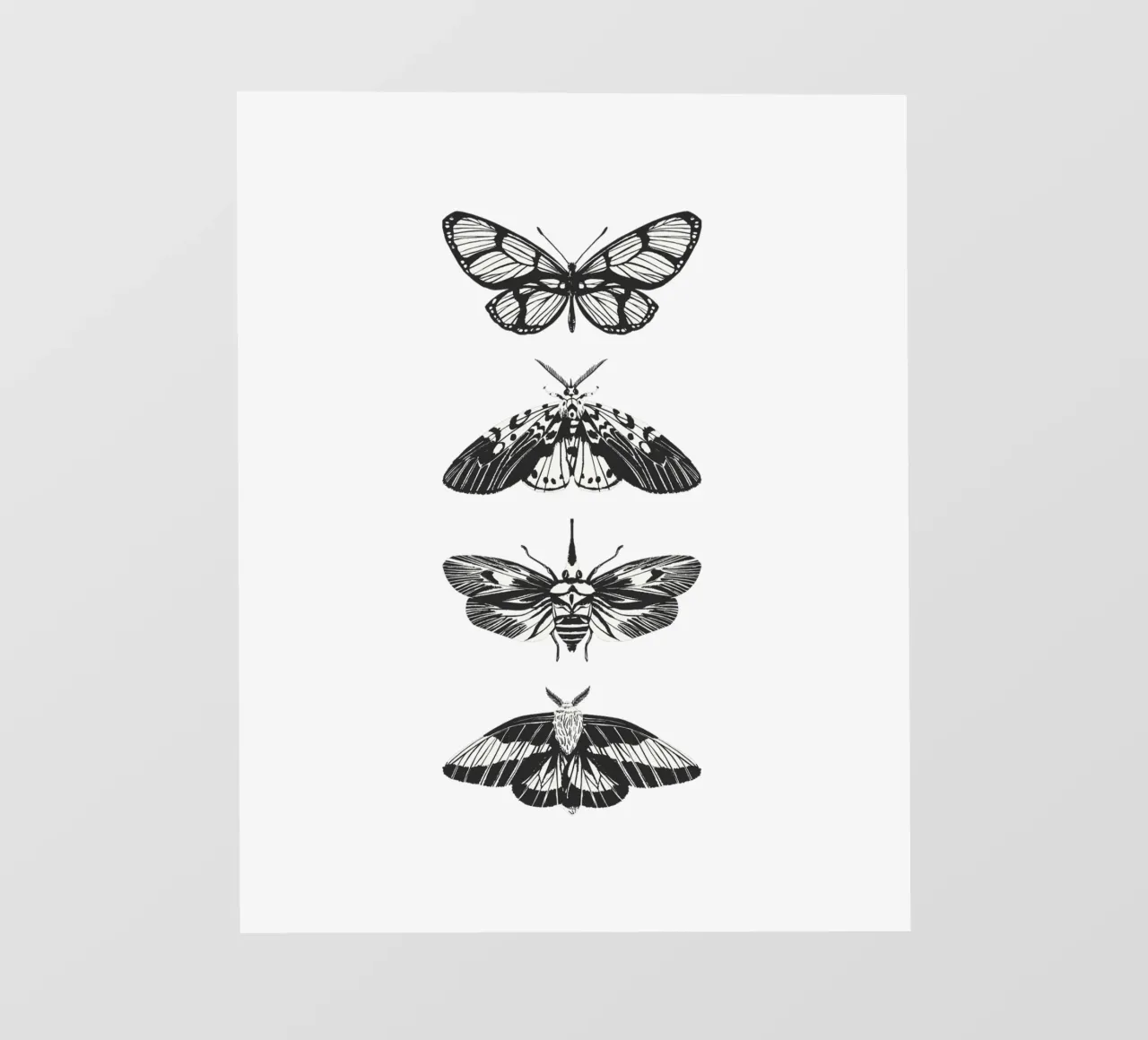 BUTTERFLIES pellicola backlit da Einfach Uebel