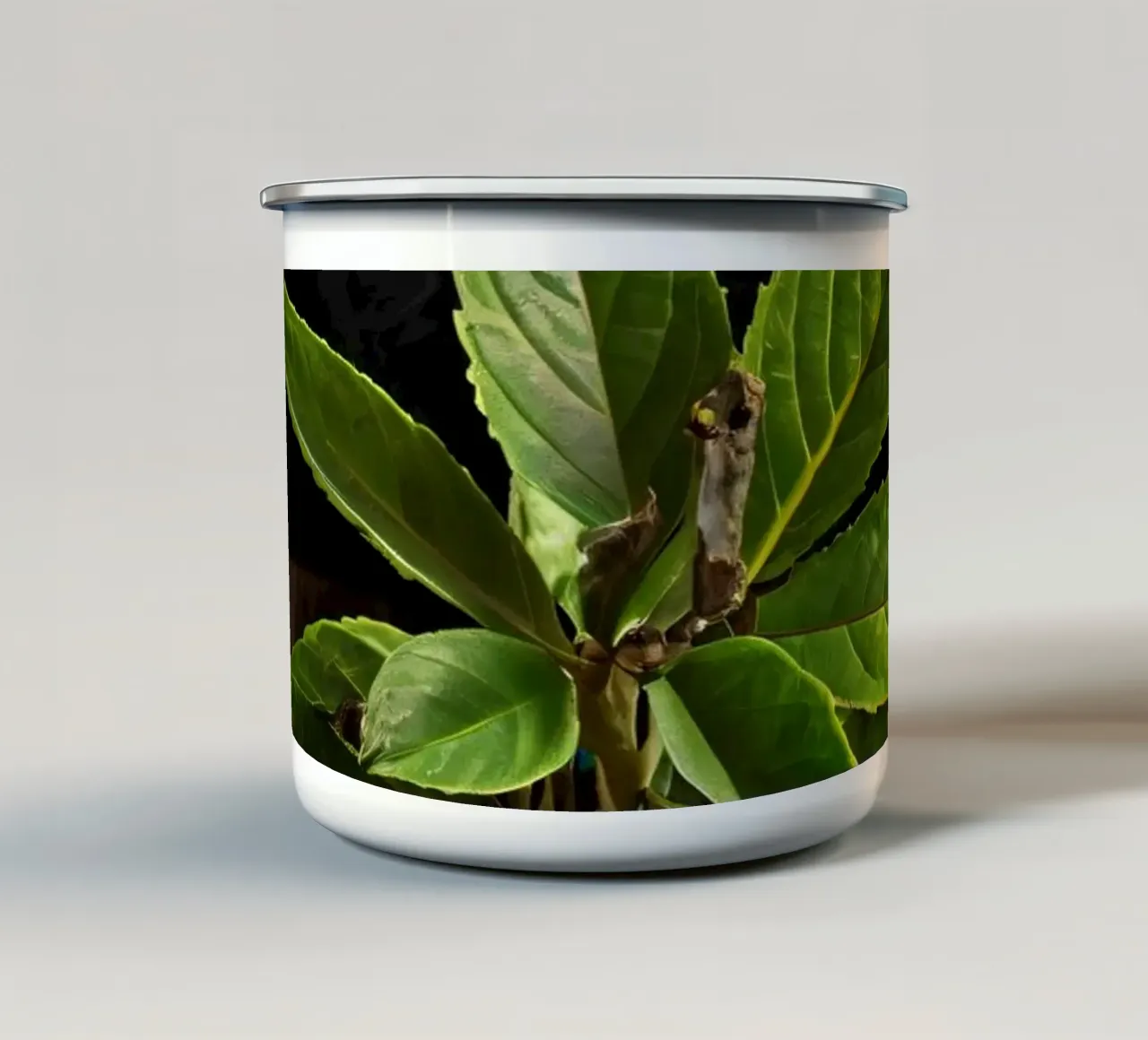 Foglie verdi fresche su un tavolo di legno circondato da spezie tazza in smalto da DesignDoodle