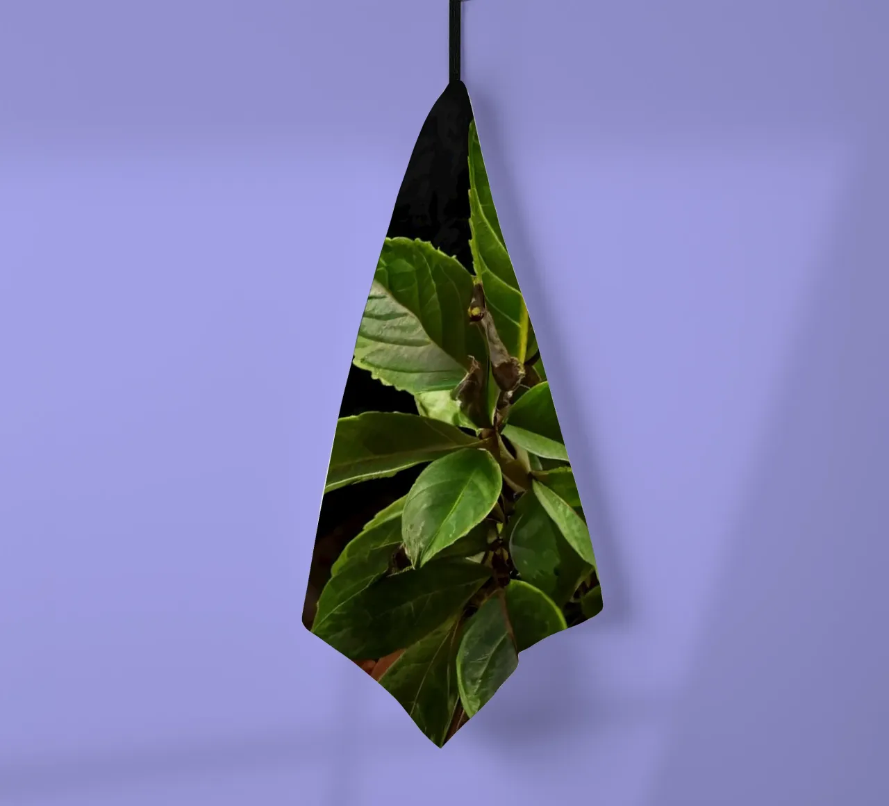 Feuilles vertes fraîches sur une table en bois entourée d'épices torchon de DesignDoodle