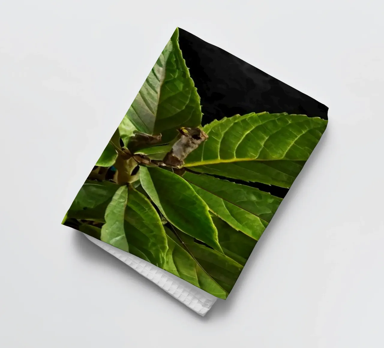 Feuilles vertes fraîches sur une table en bois entourée d'épices torchon de DesignDoodle