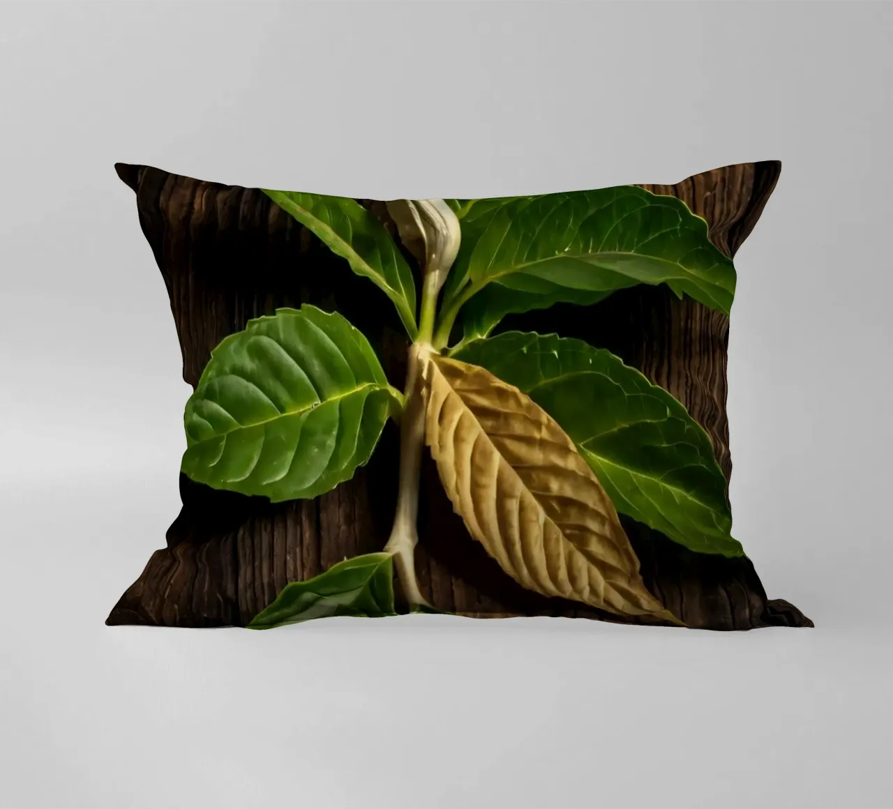 Foglie verdi fresche con una singola foglia secca su un rustico di legno cuscino da DesignDoodle