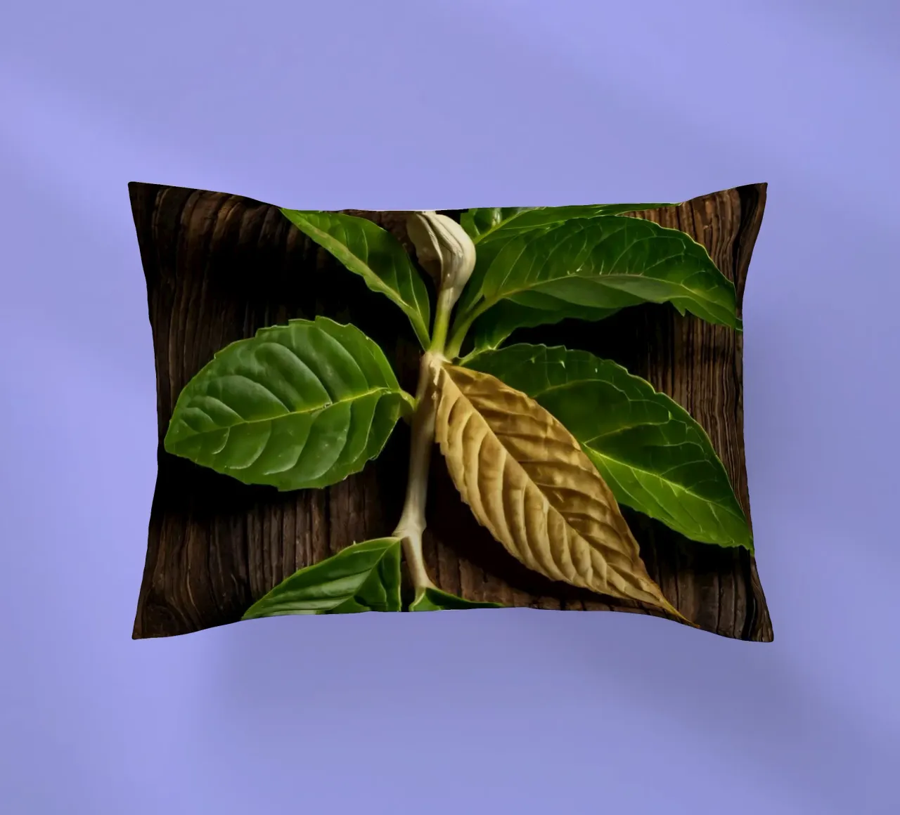 Foglie verdi fresche con una singola foglia secca su un rustico di legno cuscino da DesignDoodle