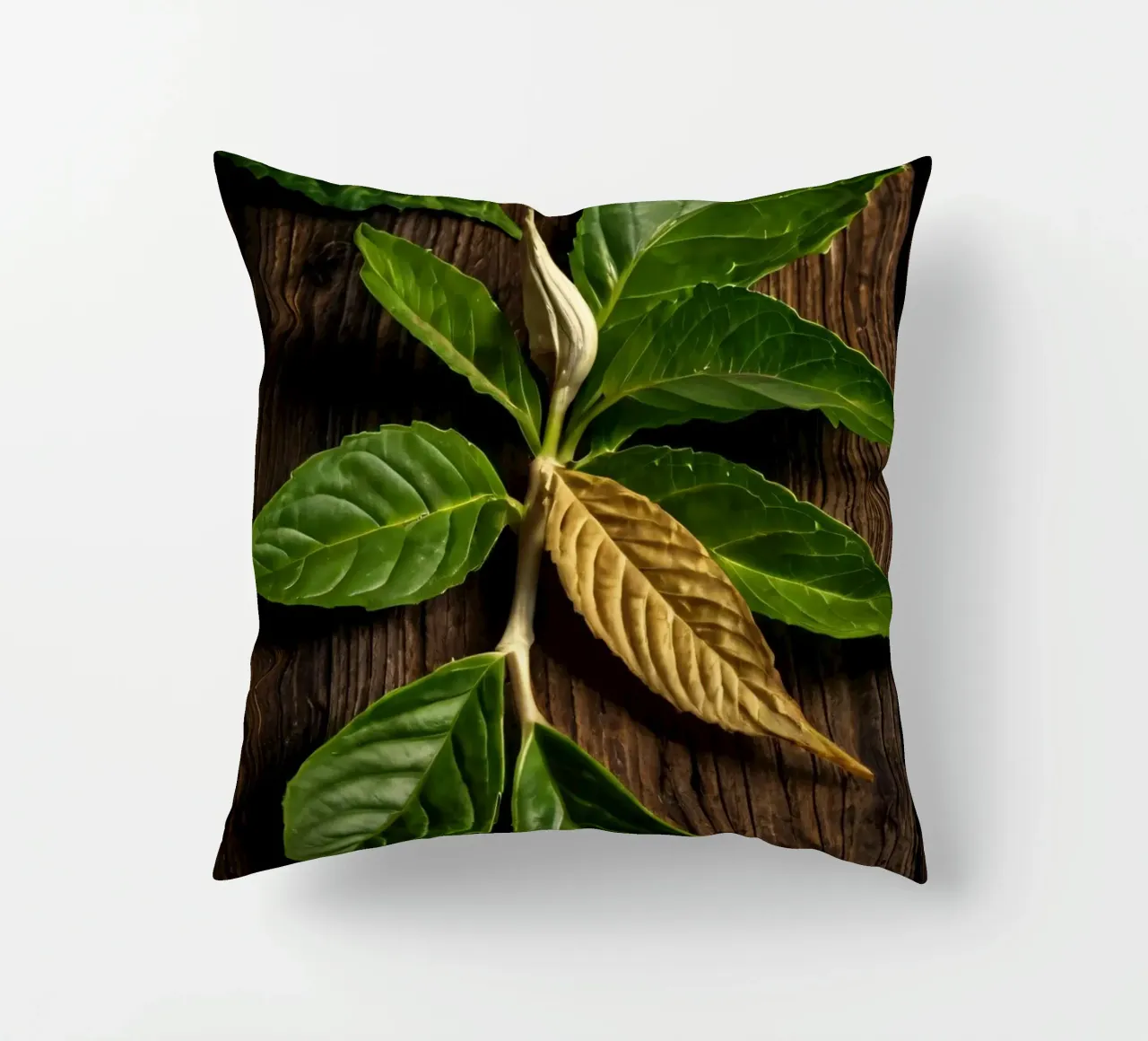 Foglie verdi fresche con una singola foglia secca su un rustico di legno cuscino da DesignDoodle