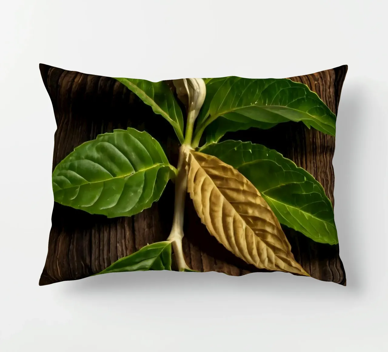 Foglie verdi fresche con una singola foglia secca su un rustico di legno cuscino da DesignDoodle