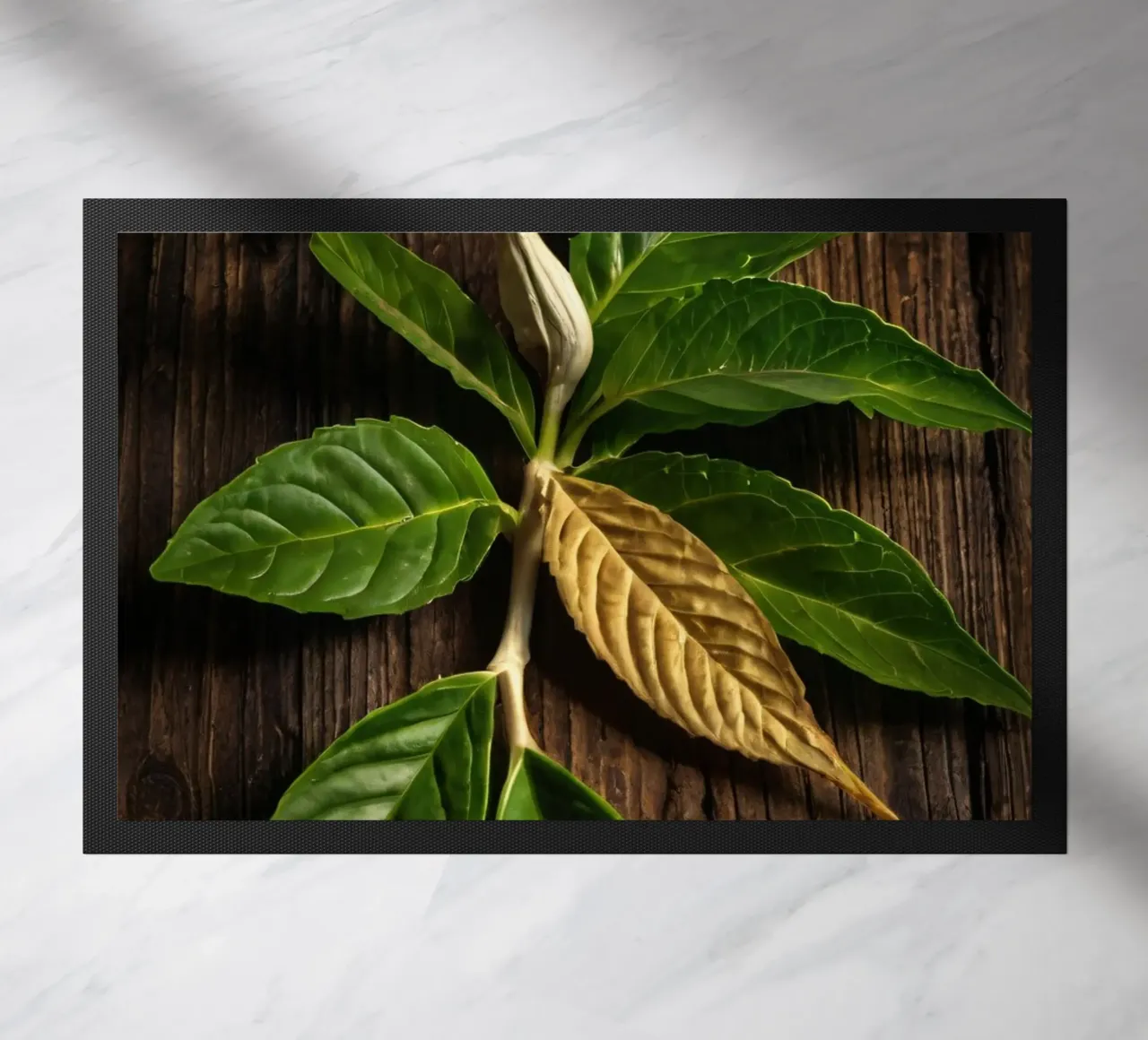 Foglie verdi fresche con una singola foglia secca su un rustico di legno zerbino da DesignDoodle