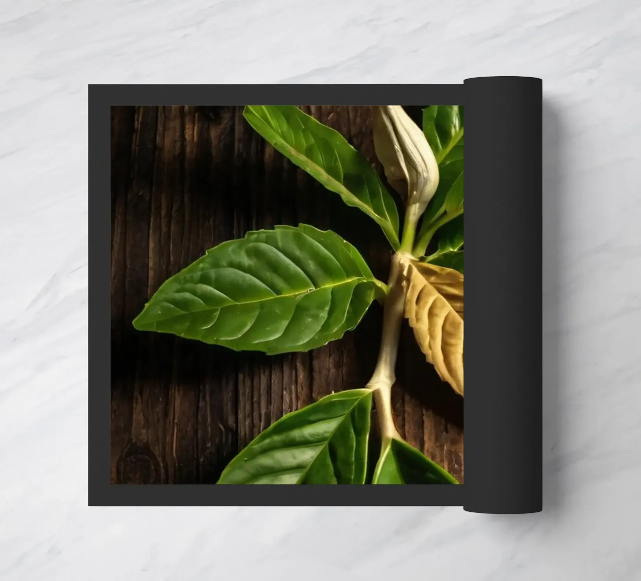 Foglie verdi fresche con una singola foglia secca su un rustico di legno zerbino da DesignDoodle