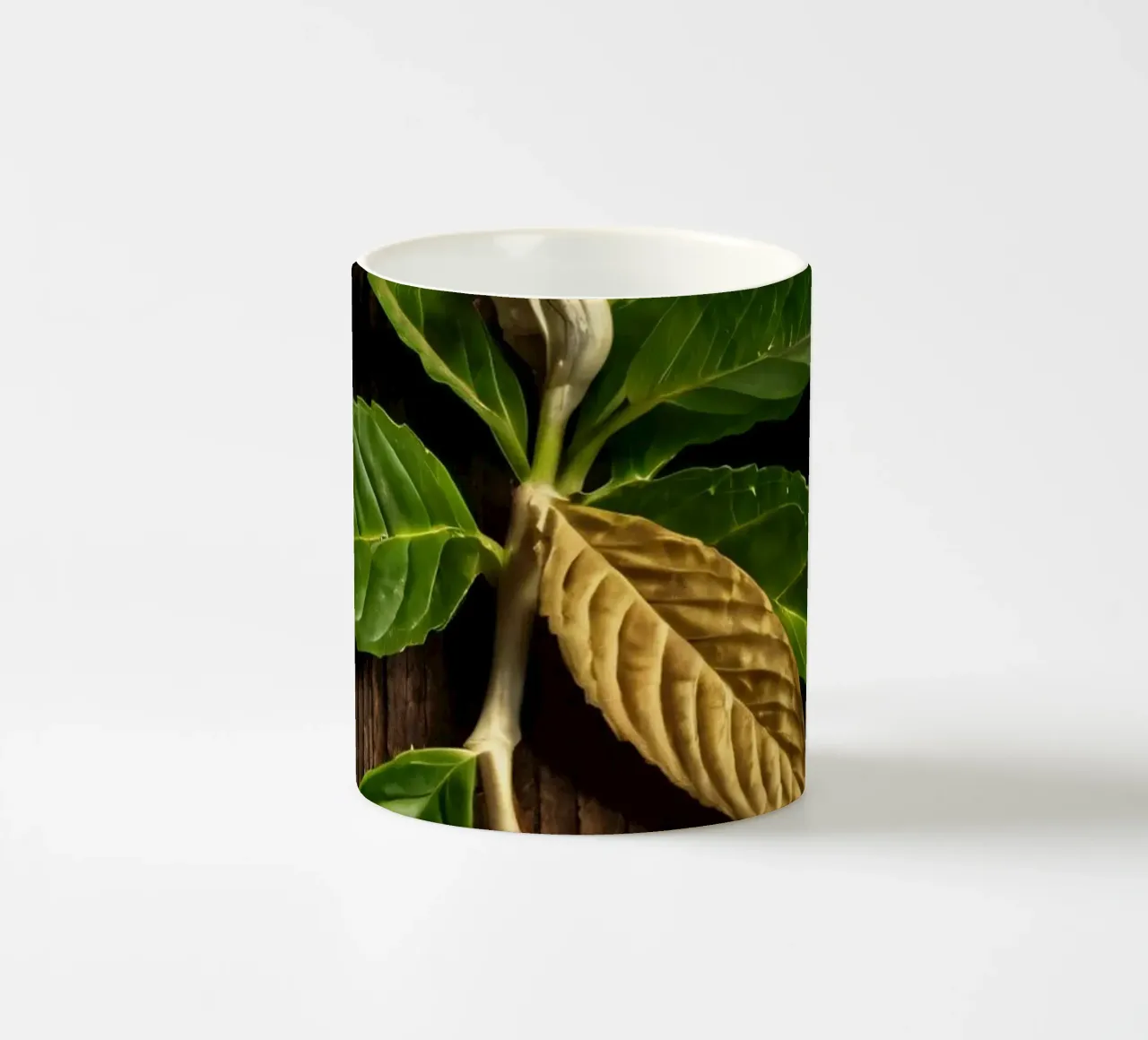 Foglie verdi fresche con una singola foglia secca su un rustico di legno tazza in ceramica da DesignDoodle