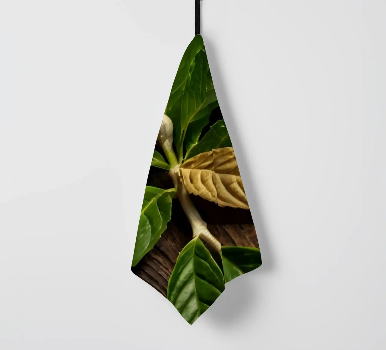 Foglie verdi fresche con una singola foglia secca su un rustico di legno canovaccio da cucina da DesignDoodle