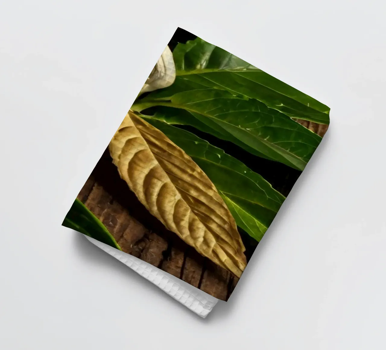 Foglie verdi fresche con una singola foglia secca su un rustico di legno canovaccio da cucina da DesignDoodle