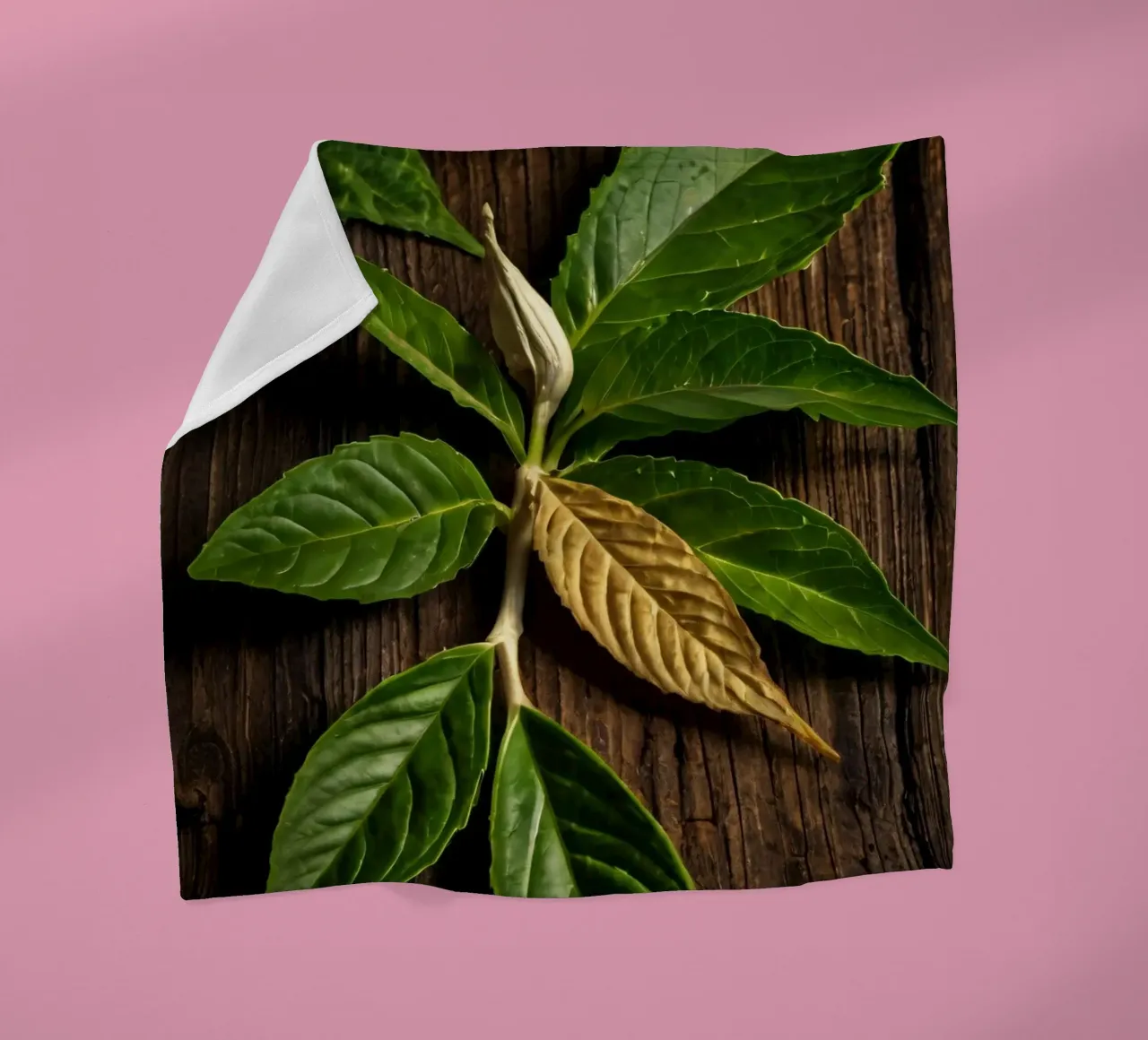 Foglie verdi fresche con una singola foglia secca su un rustico di legno coperta in pile da DesignDoodle