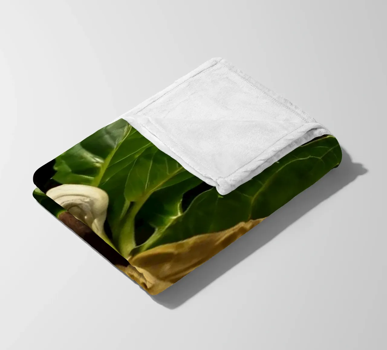 Foglie verdi fresche con una singola foglia secca su un rustico di legno coperta in pile da DesignDoodle