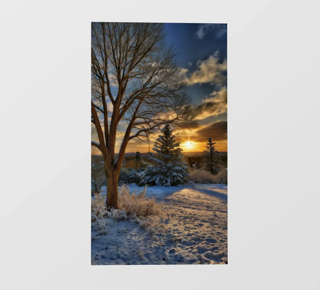 Tramonto invernale su un paesaggio innevato con alberi in primo piano telo in pvc da DesignDoodle