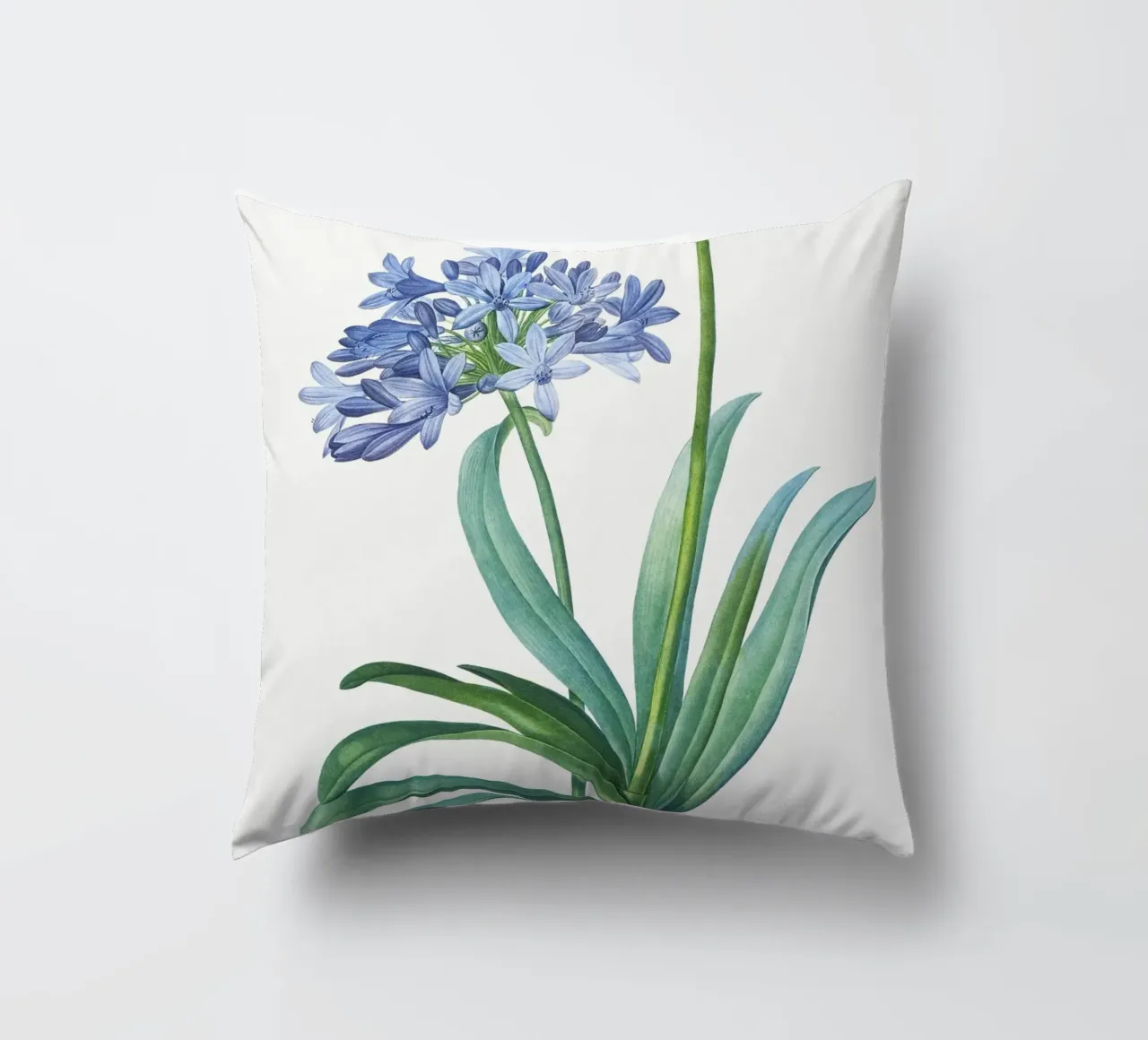 Giglio del Nilo, fiore viola Illustrazione botanica cuscino da Pretty Flowers Vintage Botanicals